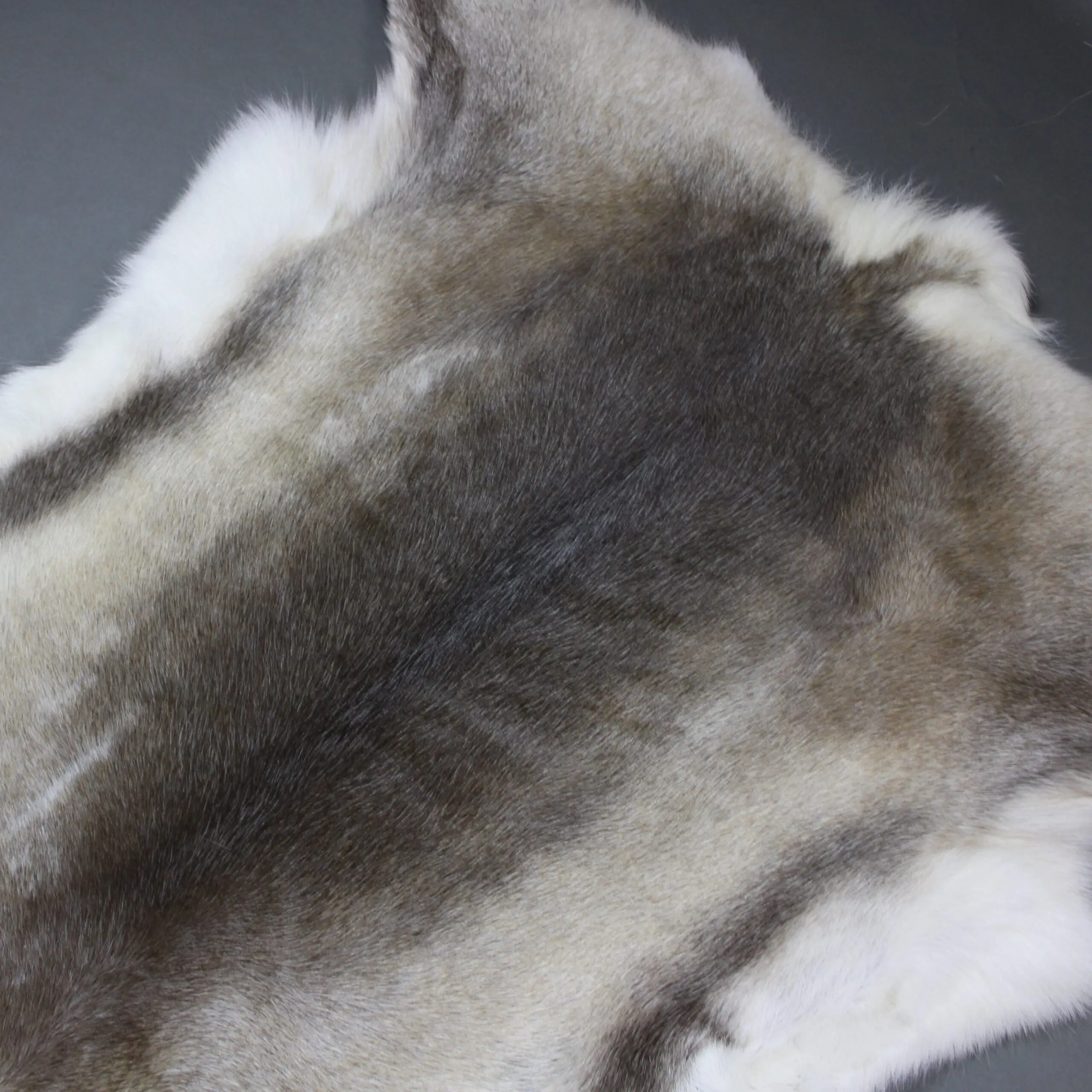 Large Reindeer Hide Rug R1241