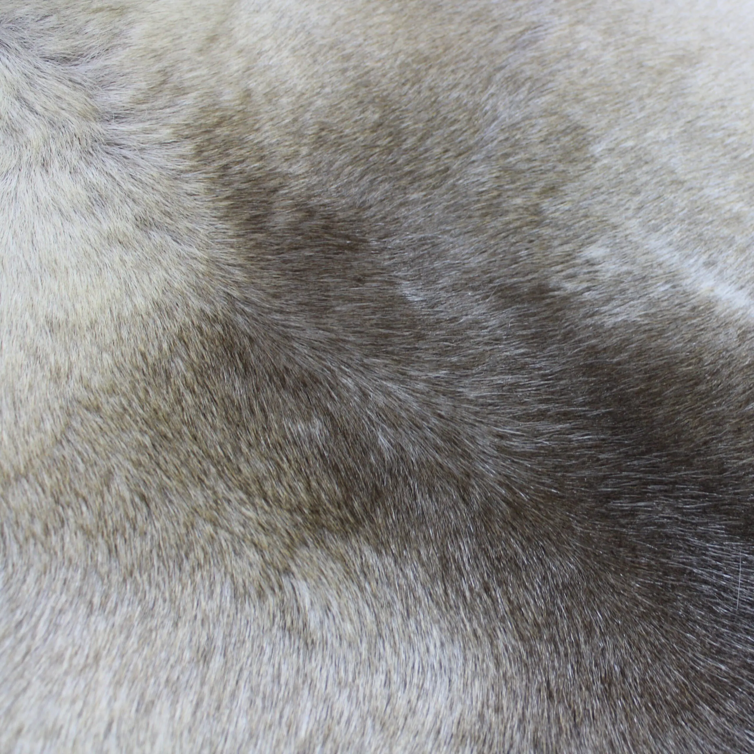Large Reindeer Hide Rug R1241