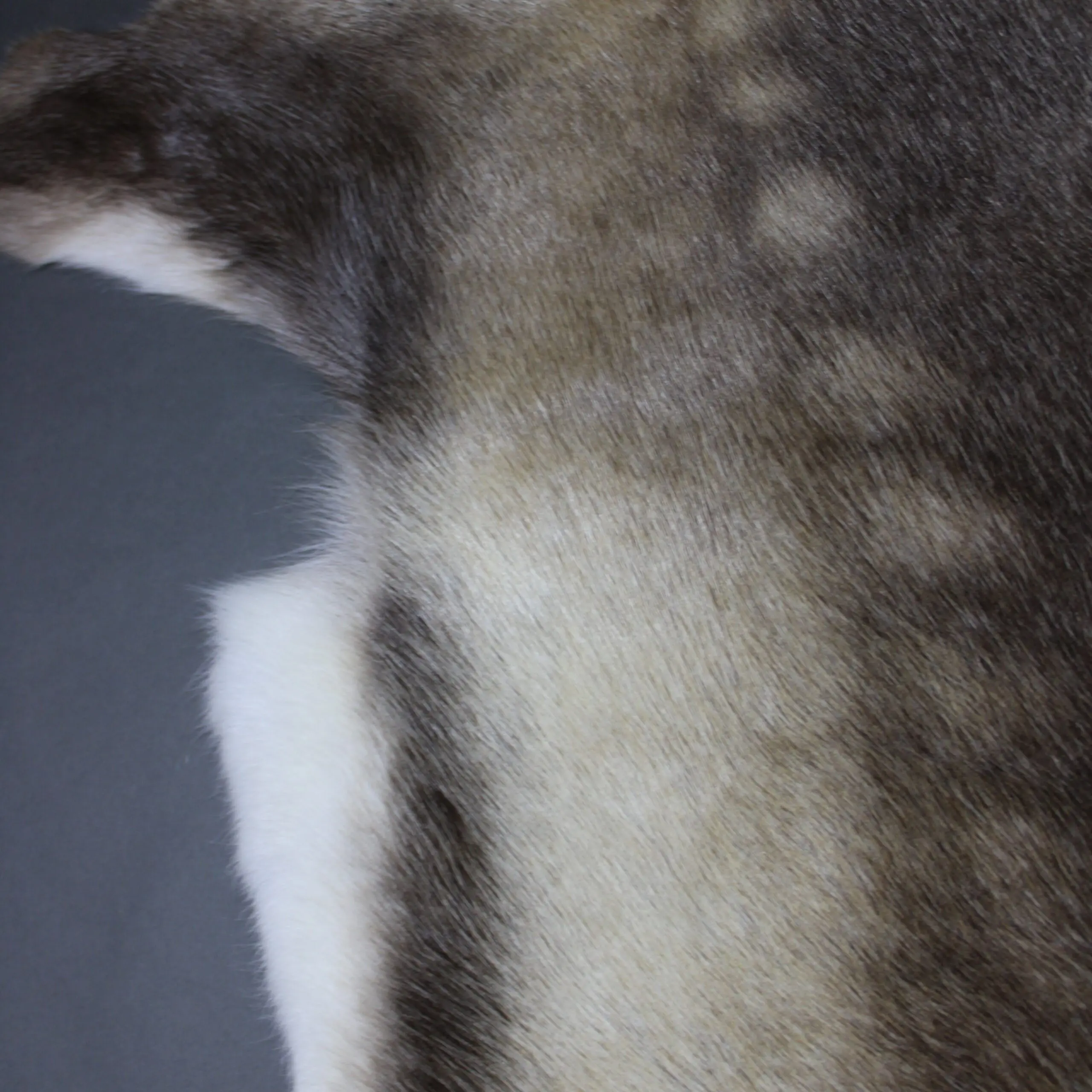 X Large Reindeer Hide Rug R1244