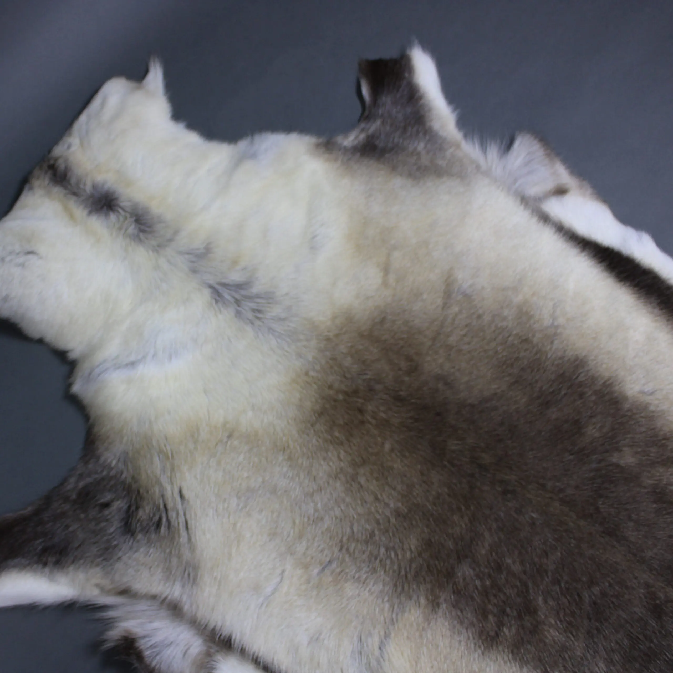 X Large Reindeer Hide Rug R1244