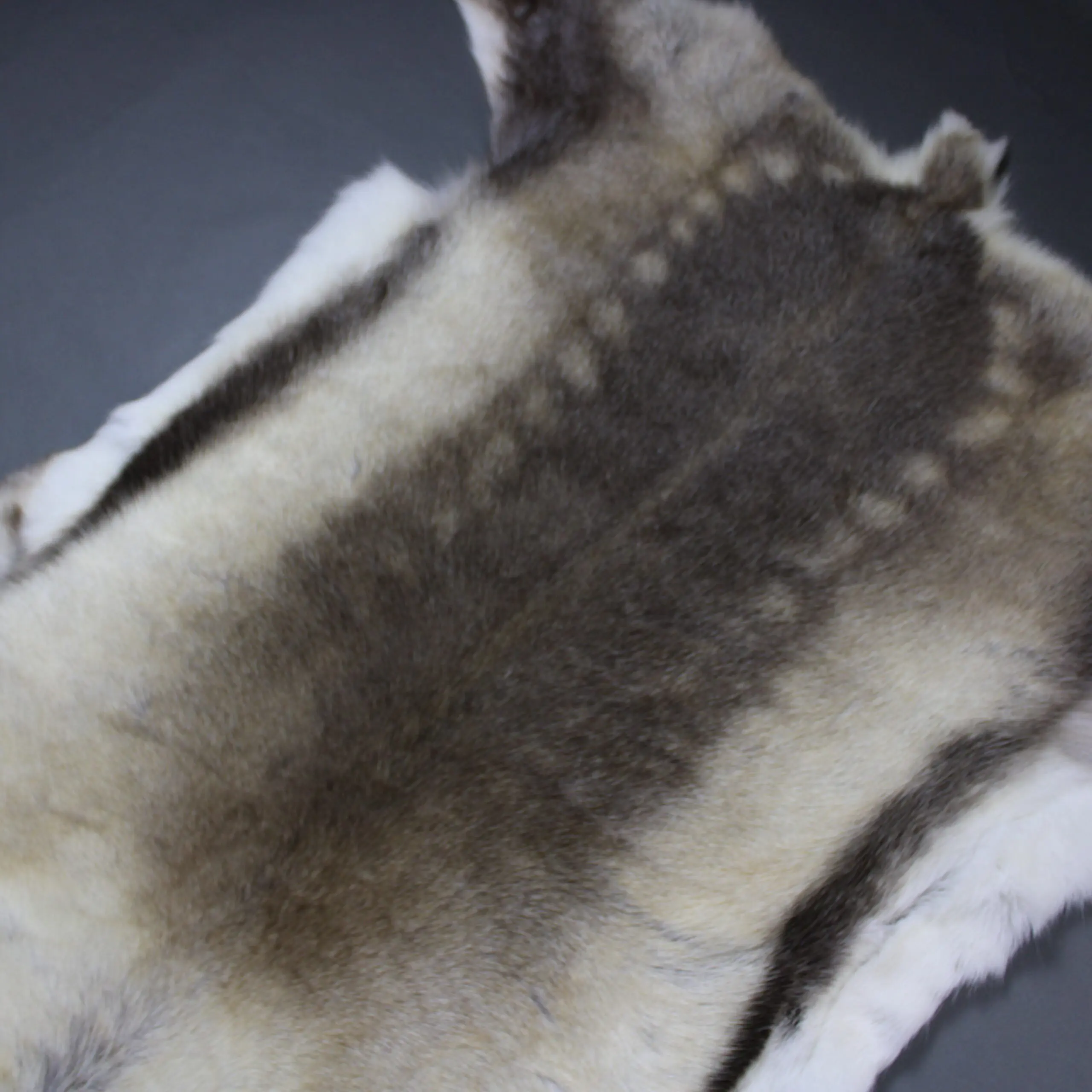 X Large Reindeer Hide Rug R1244
