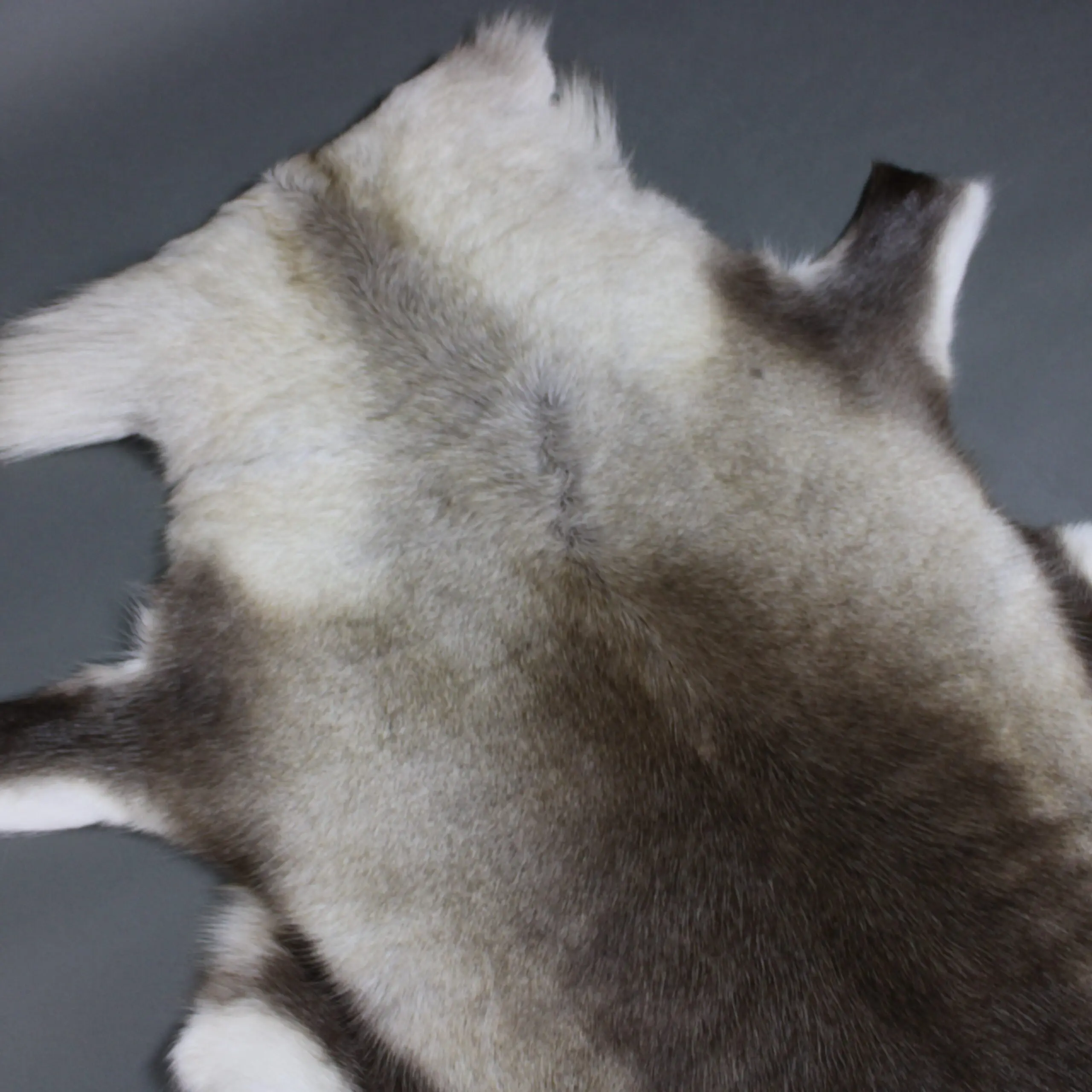 Large Reindeer Hide Rug R1245