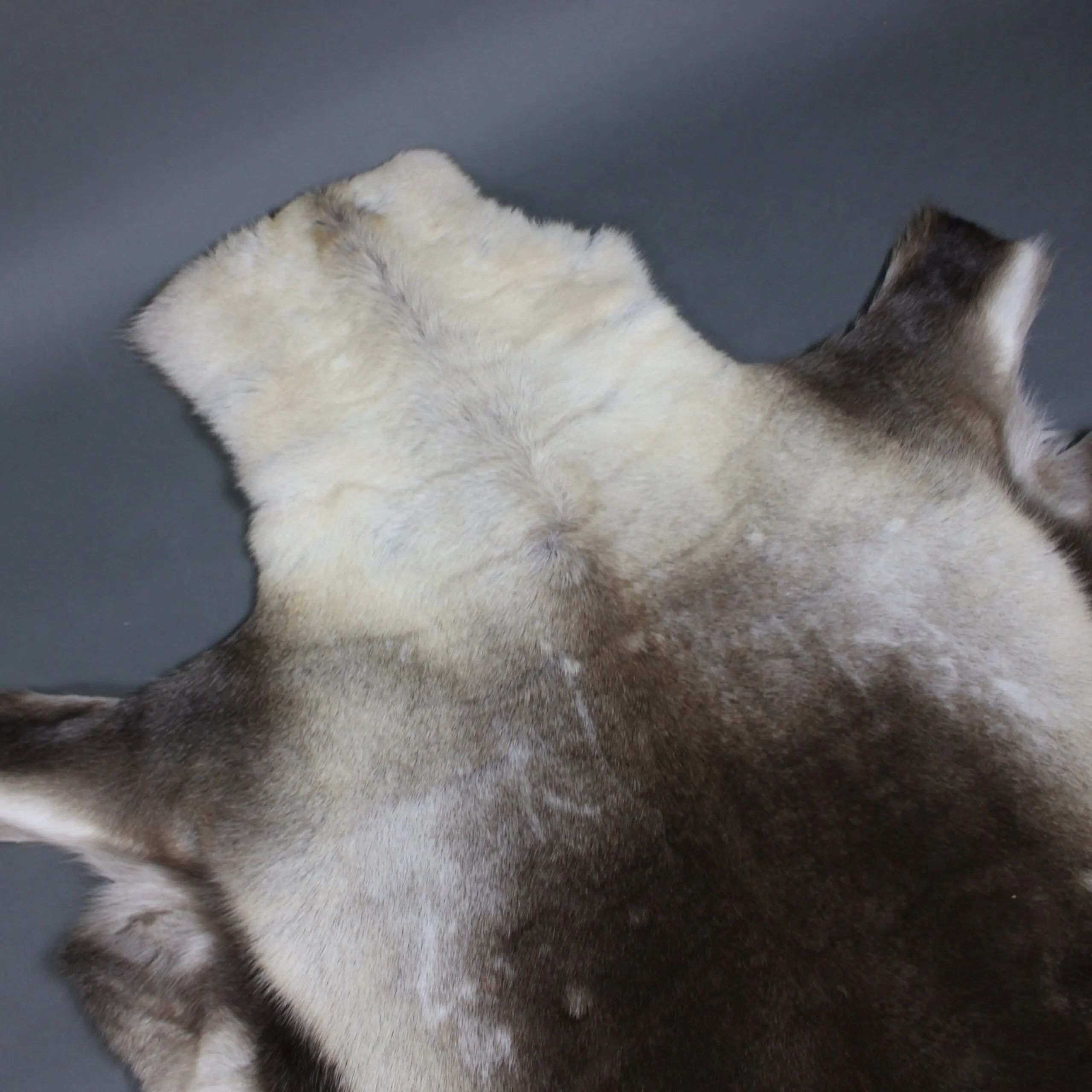 XX Large Reindeer Hide Rug R1246