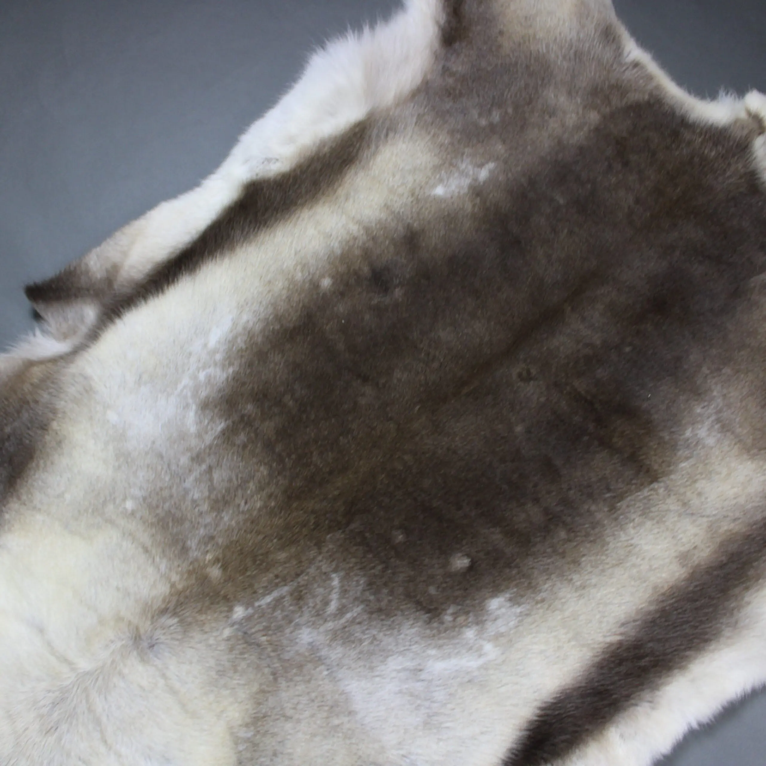XX Large Reindeer Hide Rug R1246