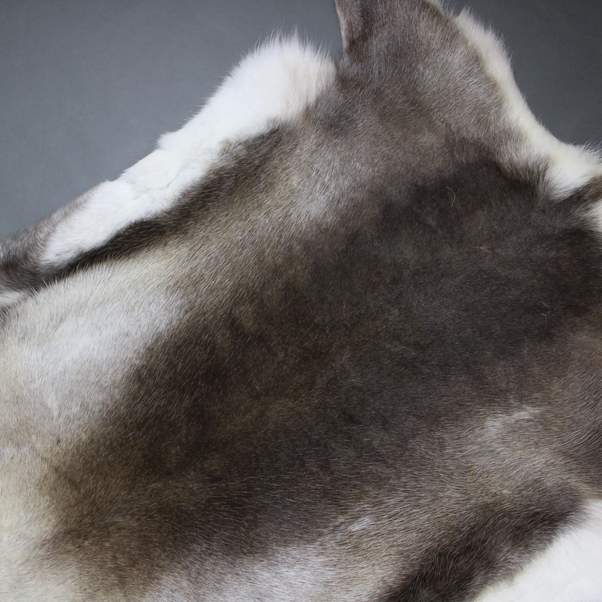 XX Large Reindeer Hide Rug R1247