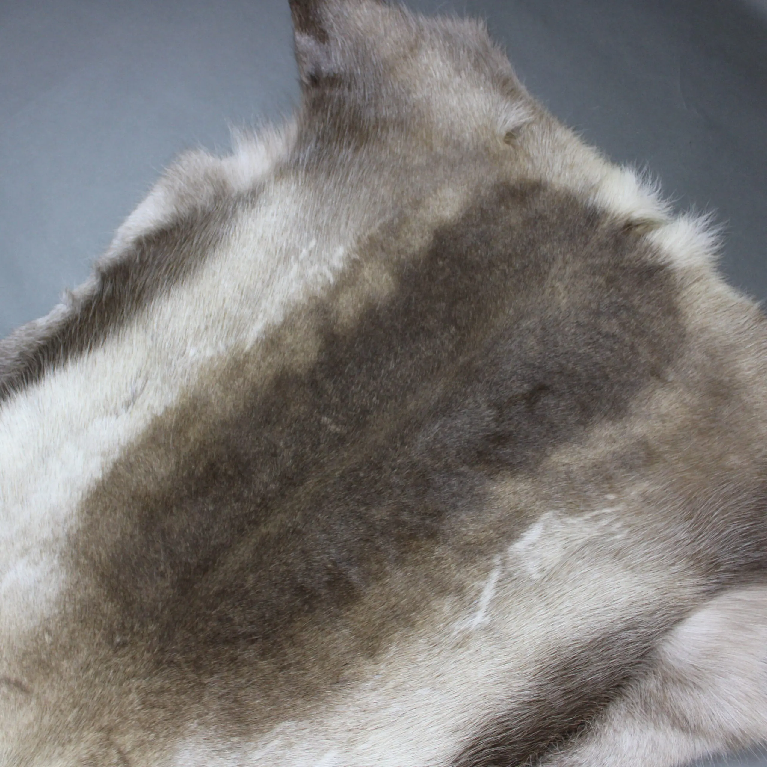 X Large Reindeer Hide Rug R1248