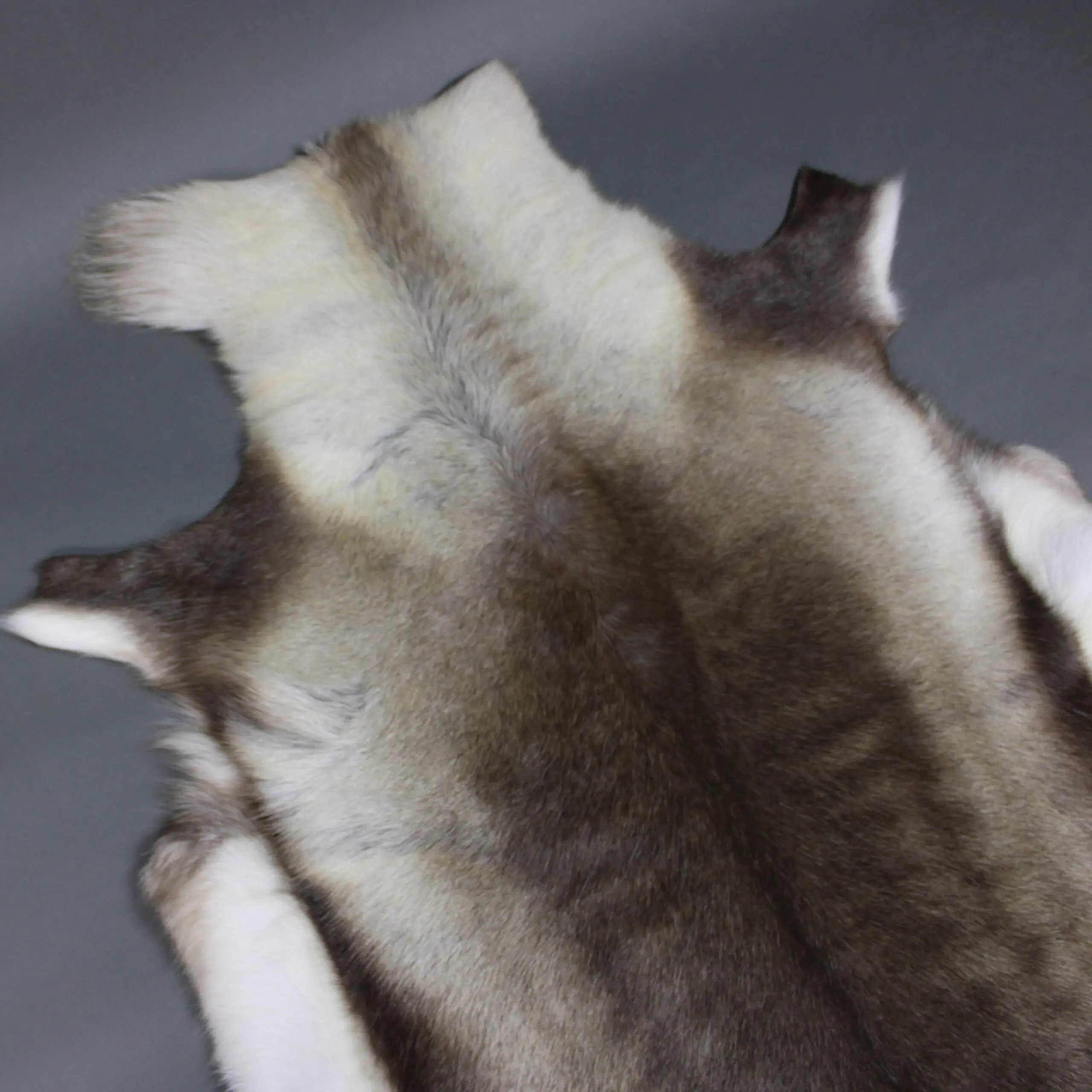 Large Reindeer Hide Rug R1249