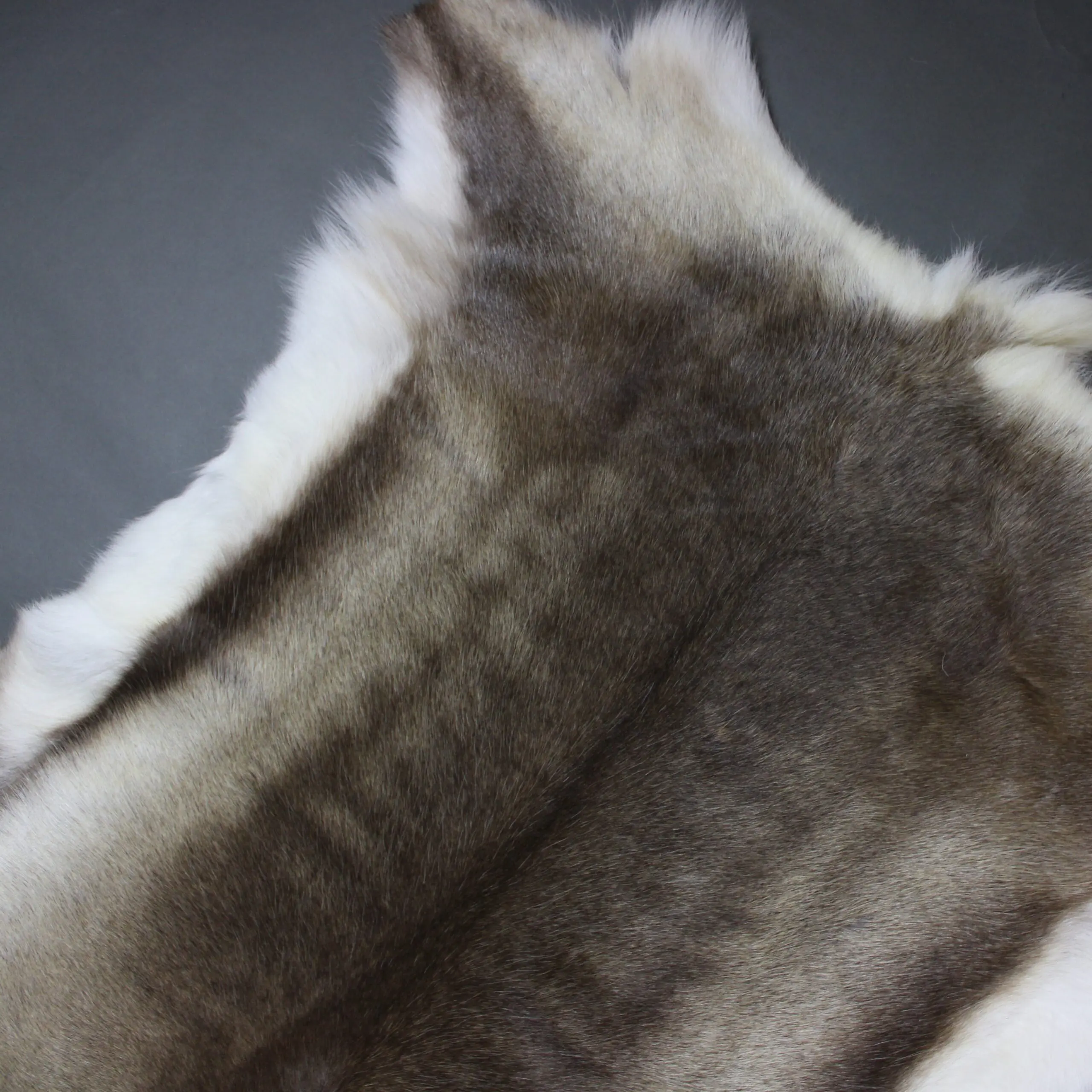 Large Reindeer Hide Rug R1249