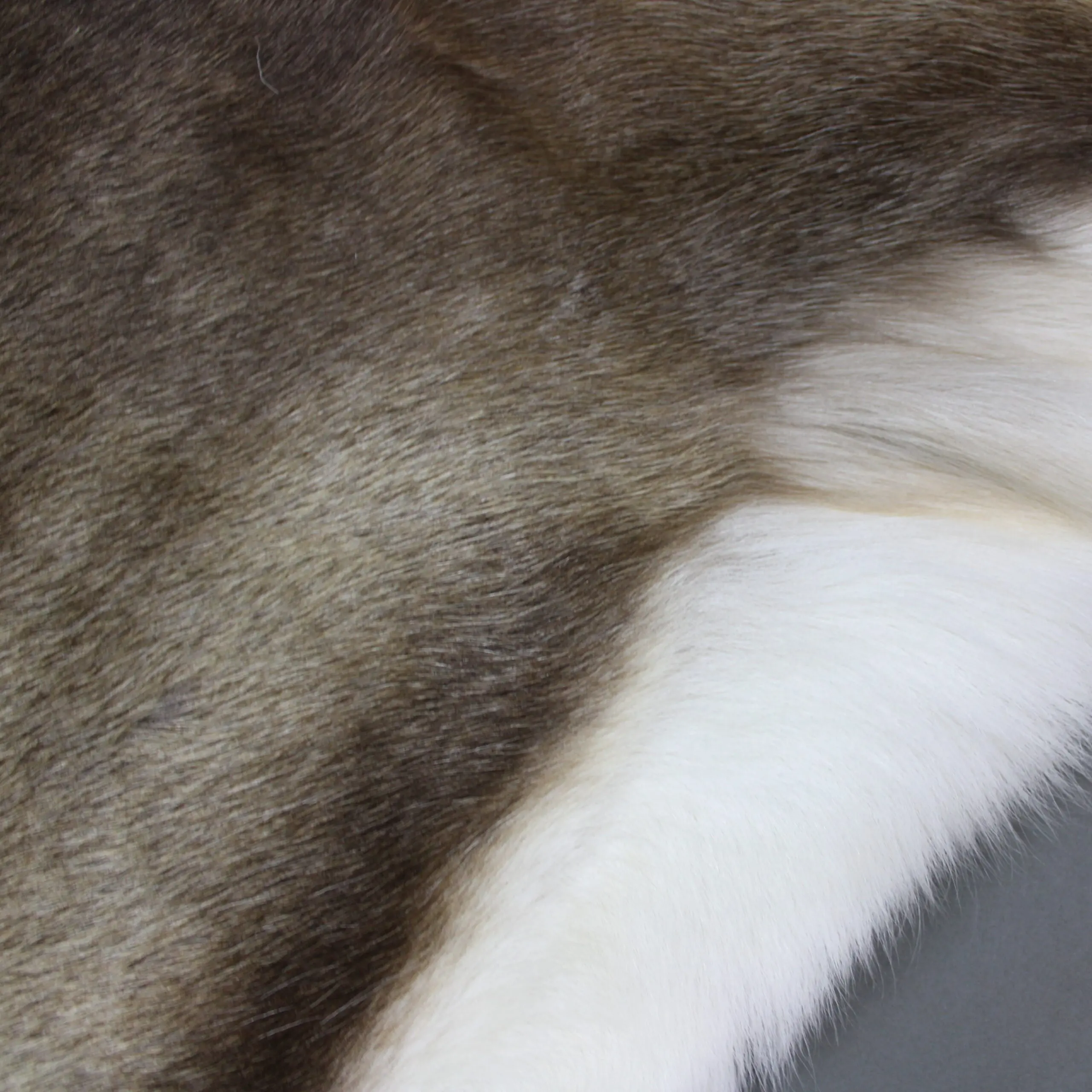 Large Reindeer Hide Rug R1249