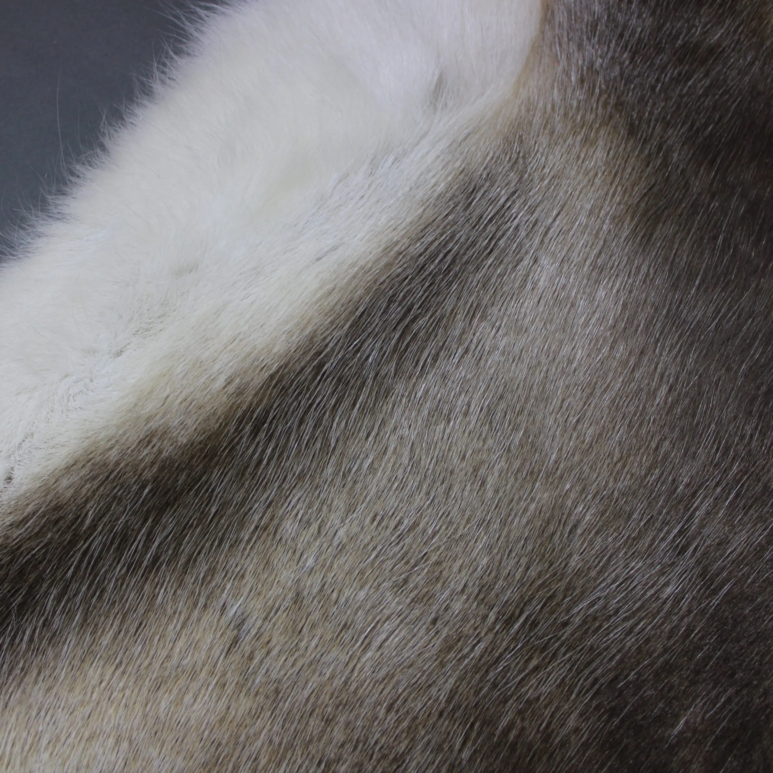 XX Large Reindeer Hide Rug R1250