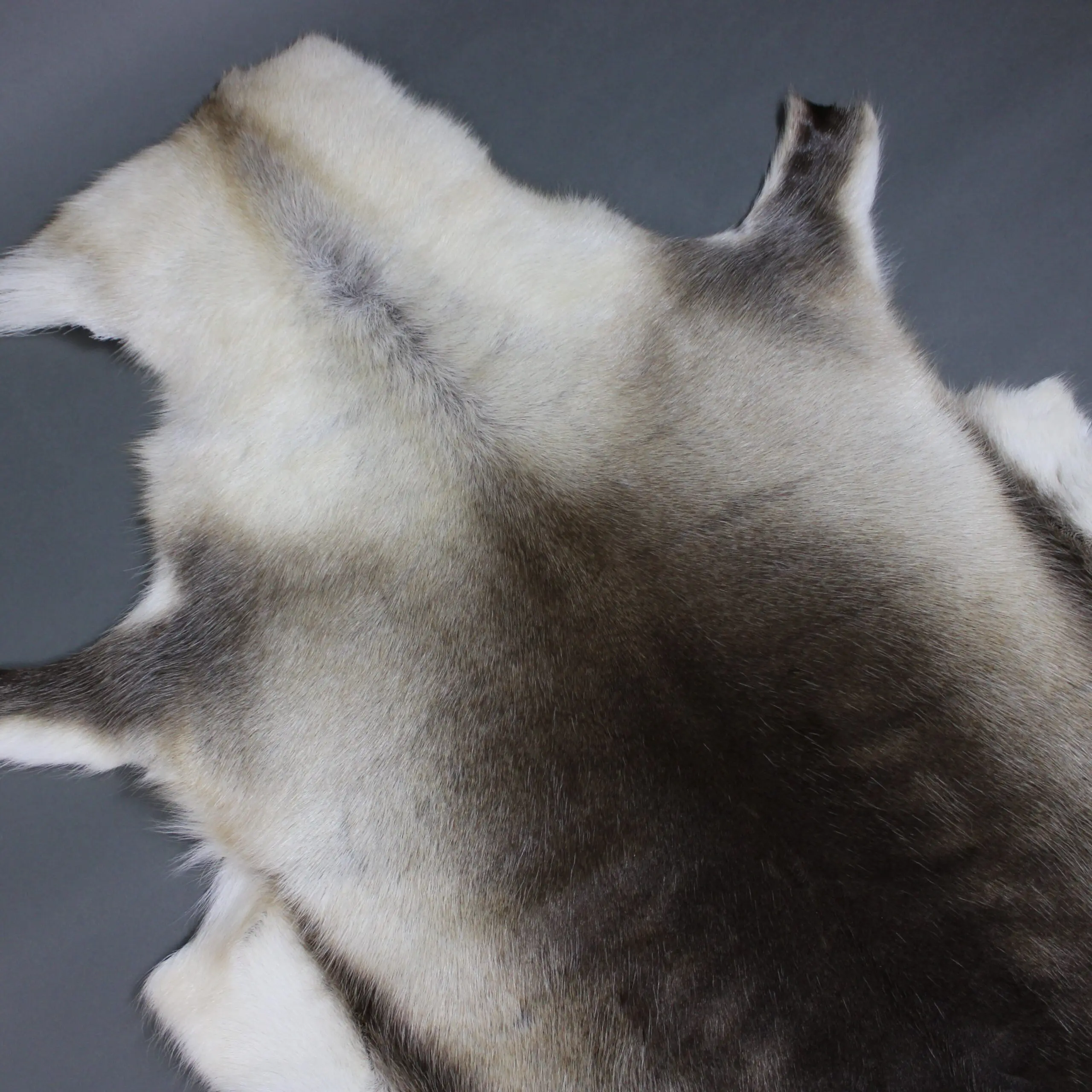 XX Large Reindeer Hide Rug R1250