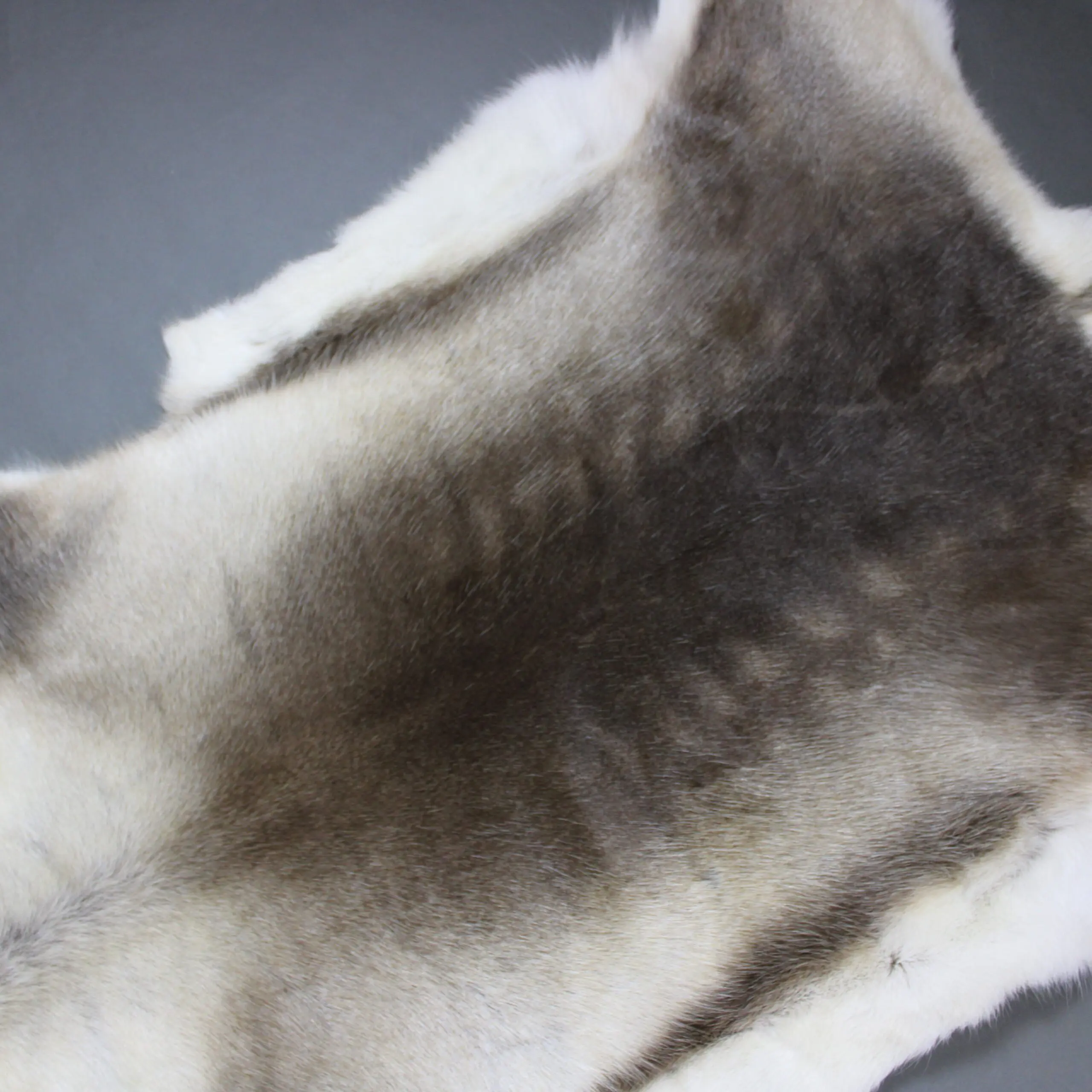 XX Large Reindeer Hide Rug R1250