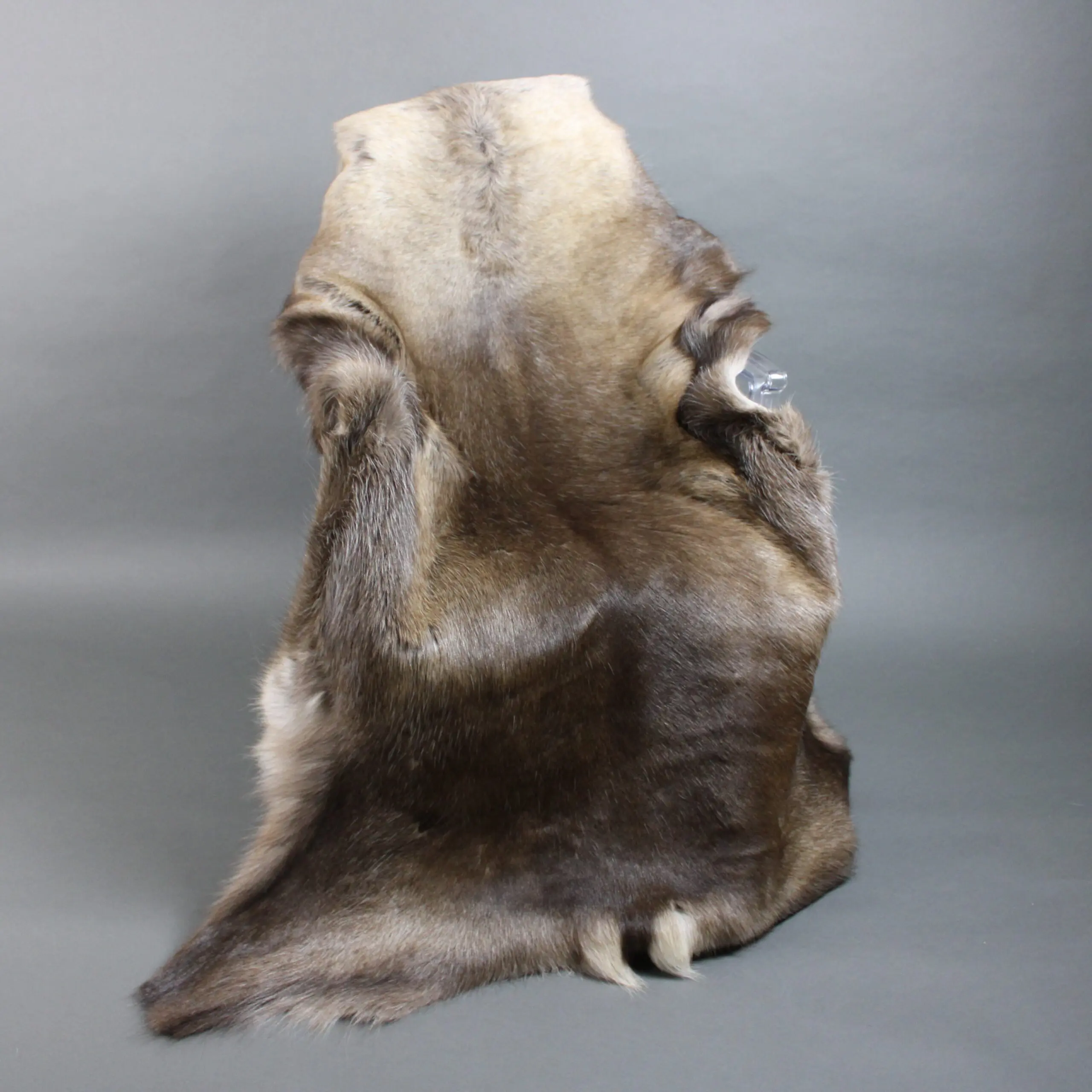 XX Large Reindeer Hide Rug R1251