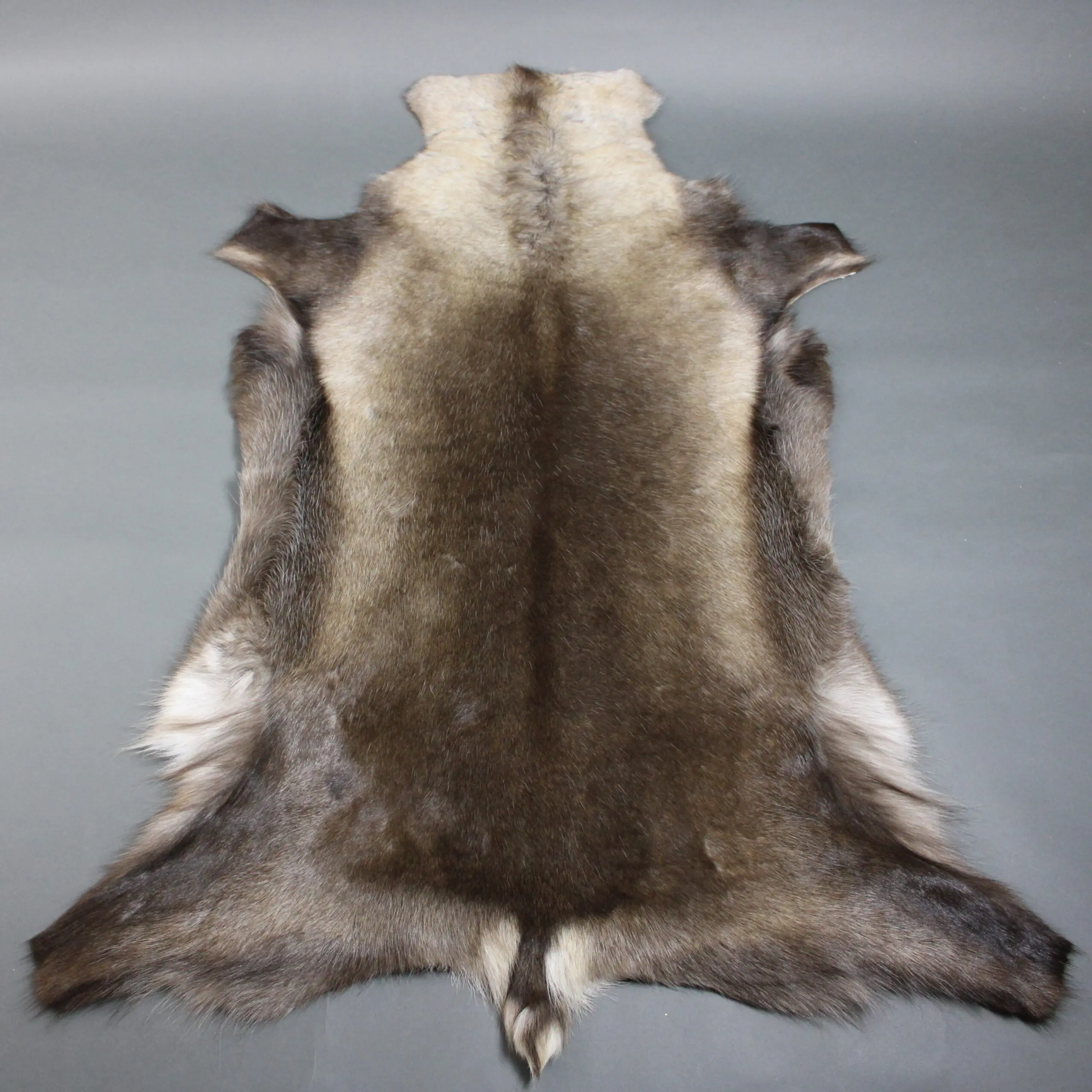 XX Large Reindeer Hide Rug R1251