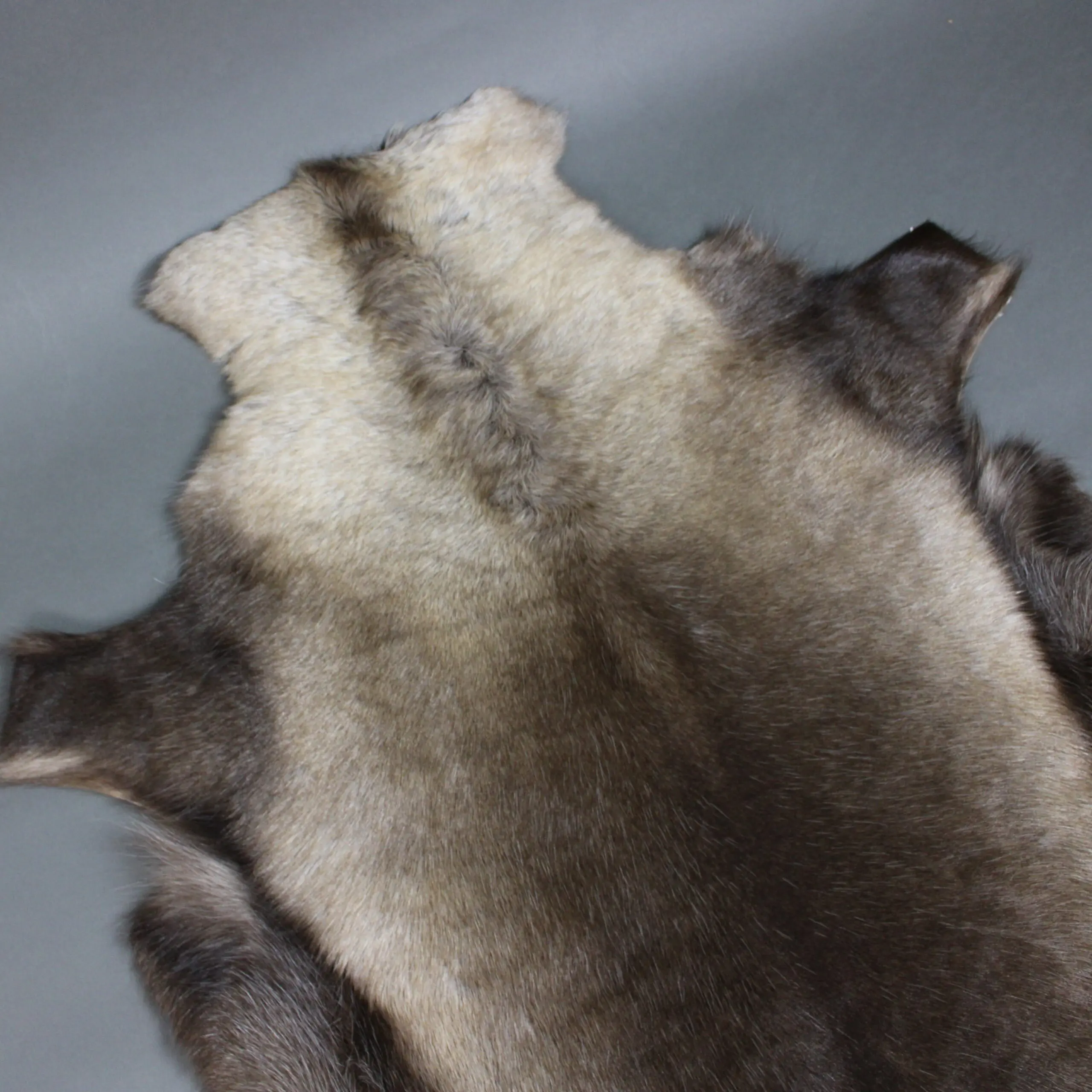 XX Large Reindeer Hide Rug R1251