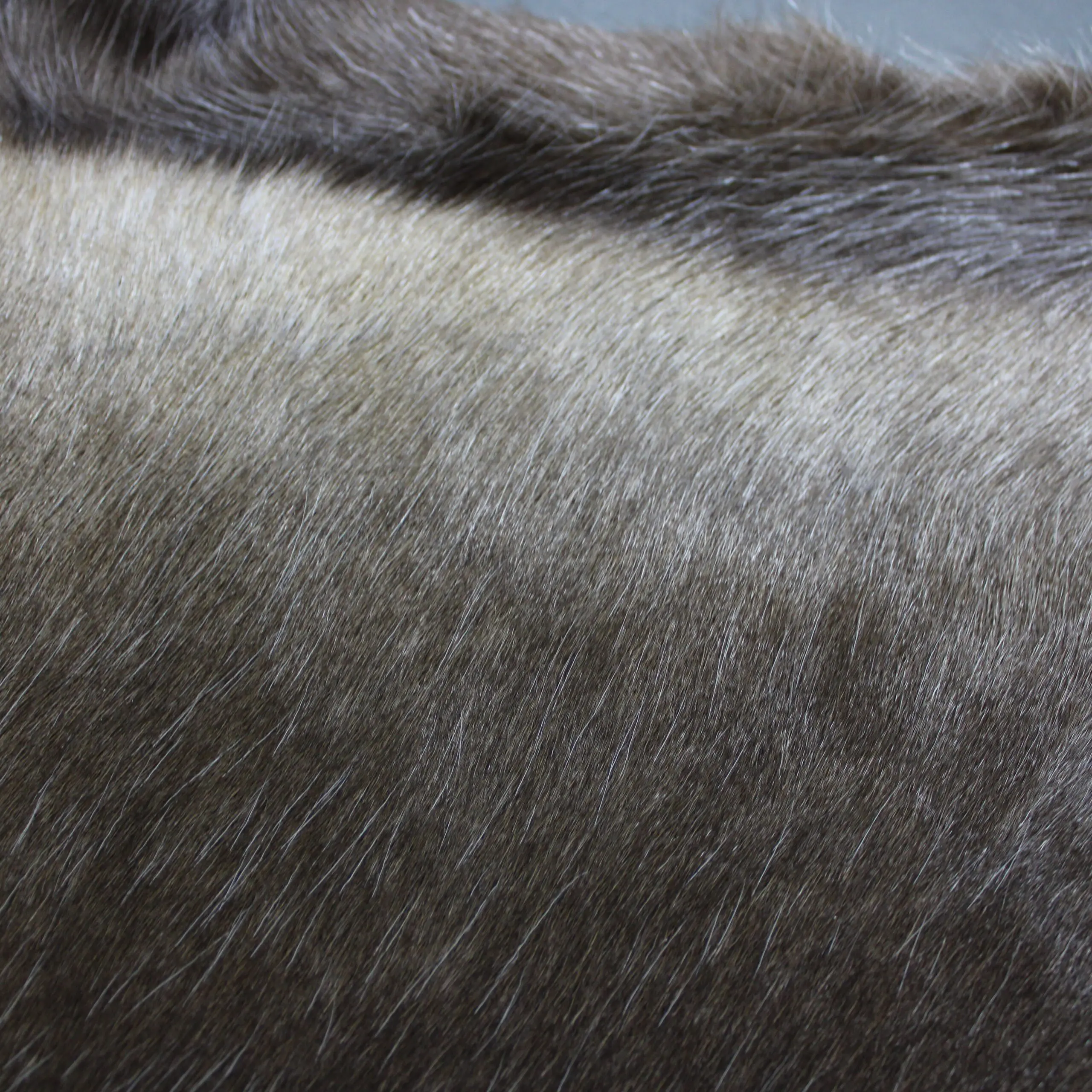 XX Large Reindeer Hide Rug R1251