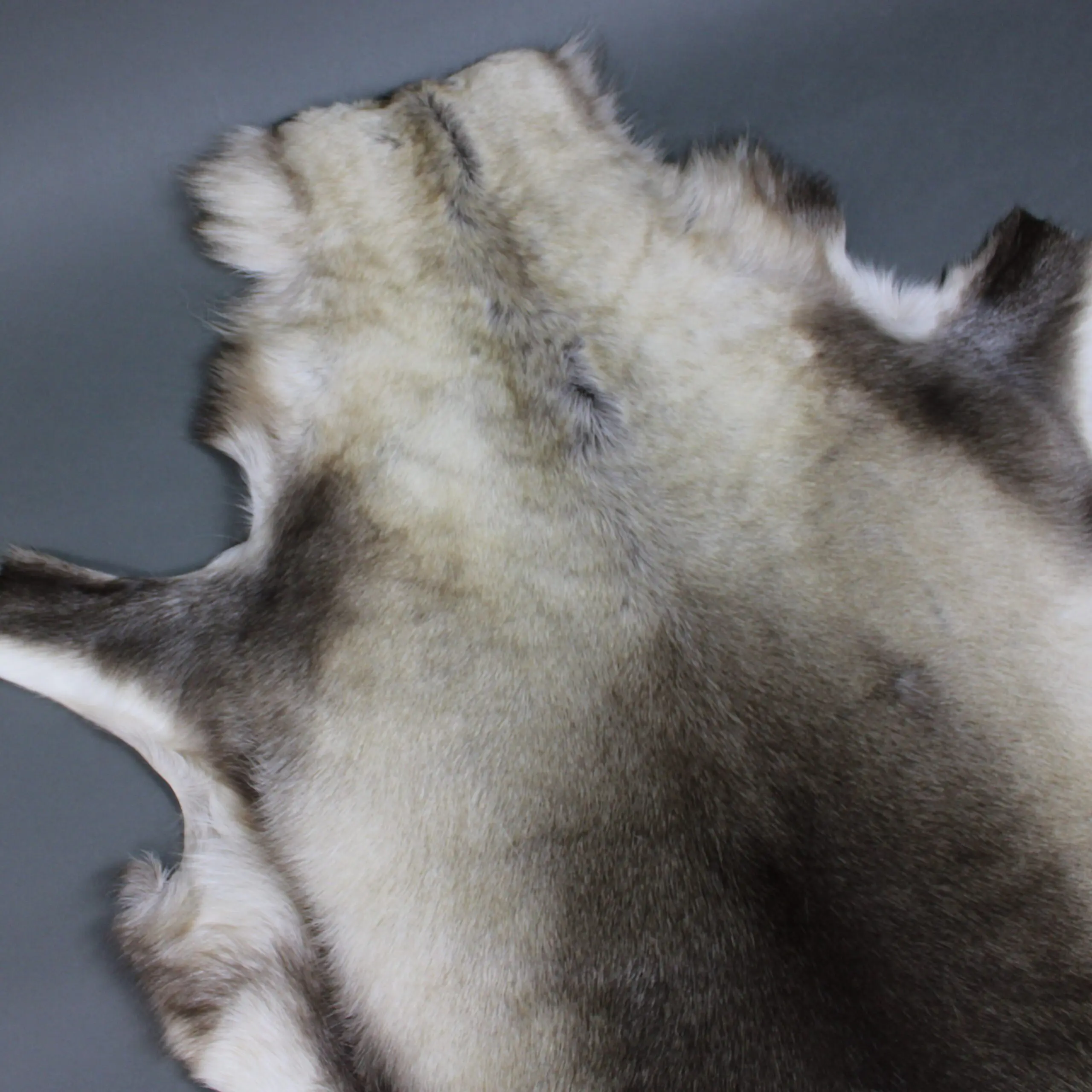 XX Large Reindeer Hide Rug R1252