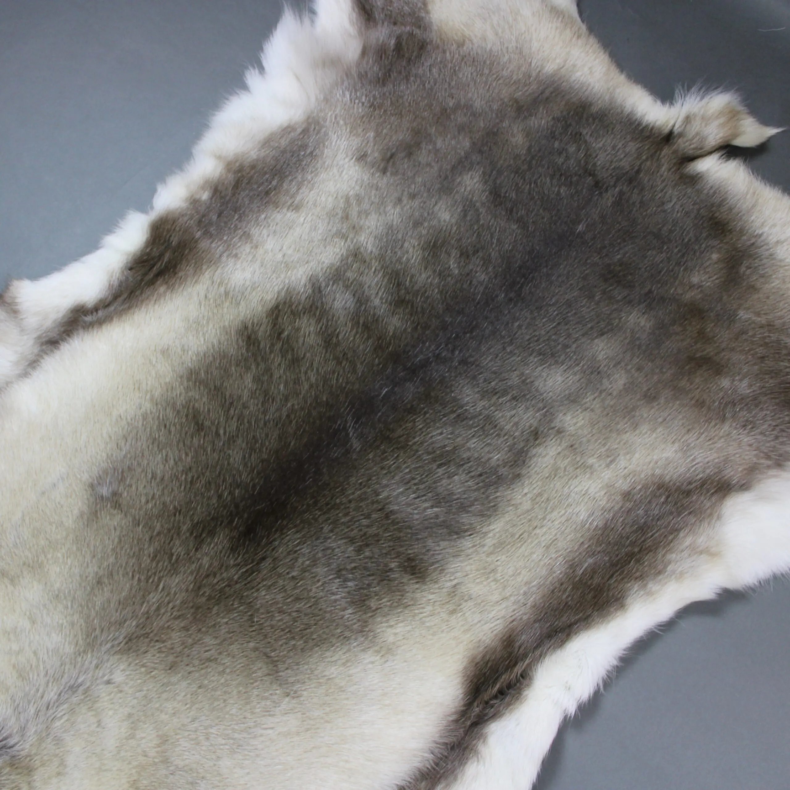 XX Large Reindeer Hide Rug R1252