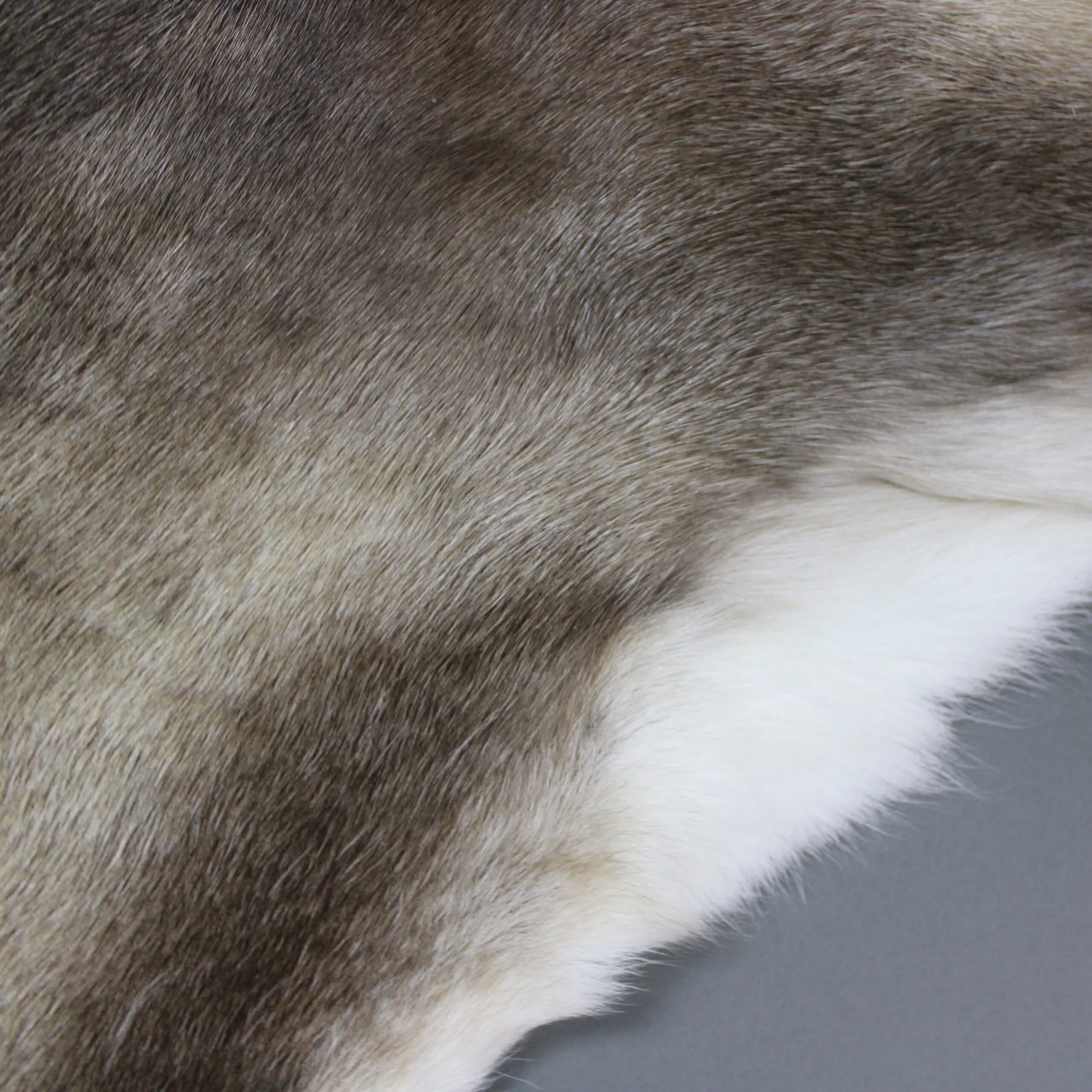 XX Large Reindeer Hide Rug R1252