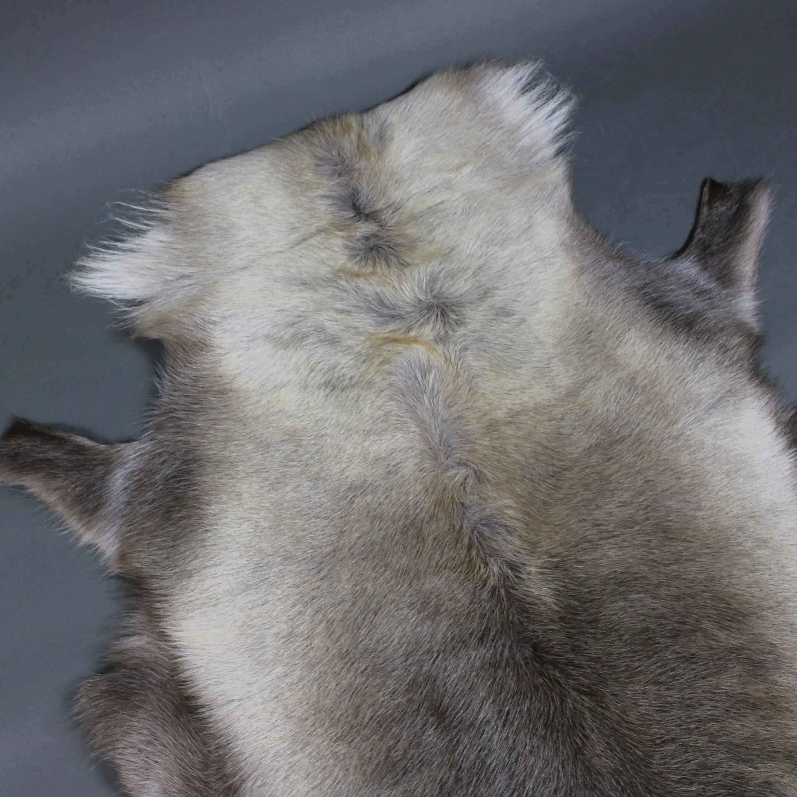 X Large Reindeer Hide Rug R1254