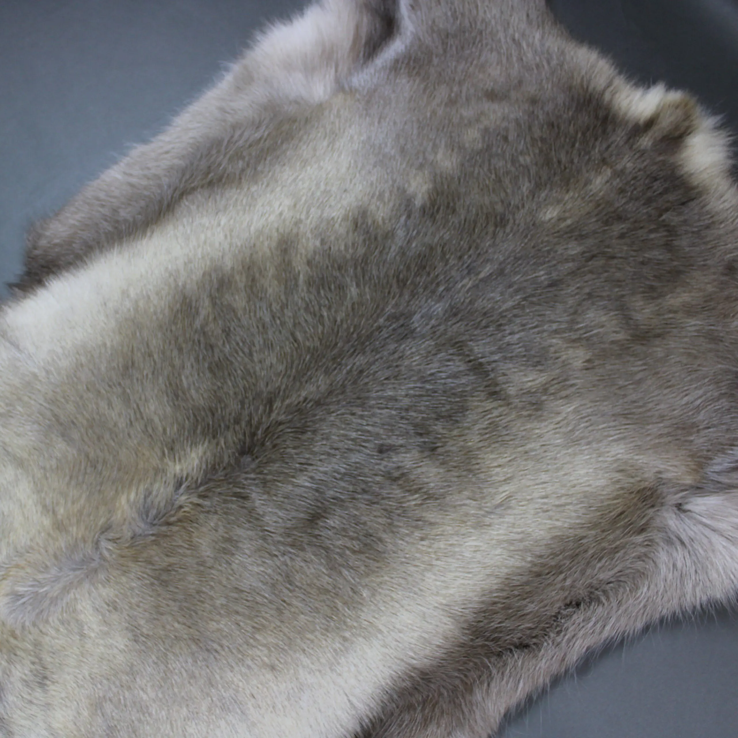 X Large Reindeer Hide Rug R1254