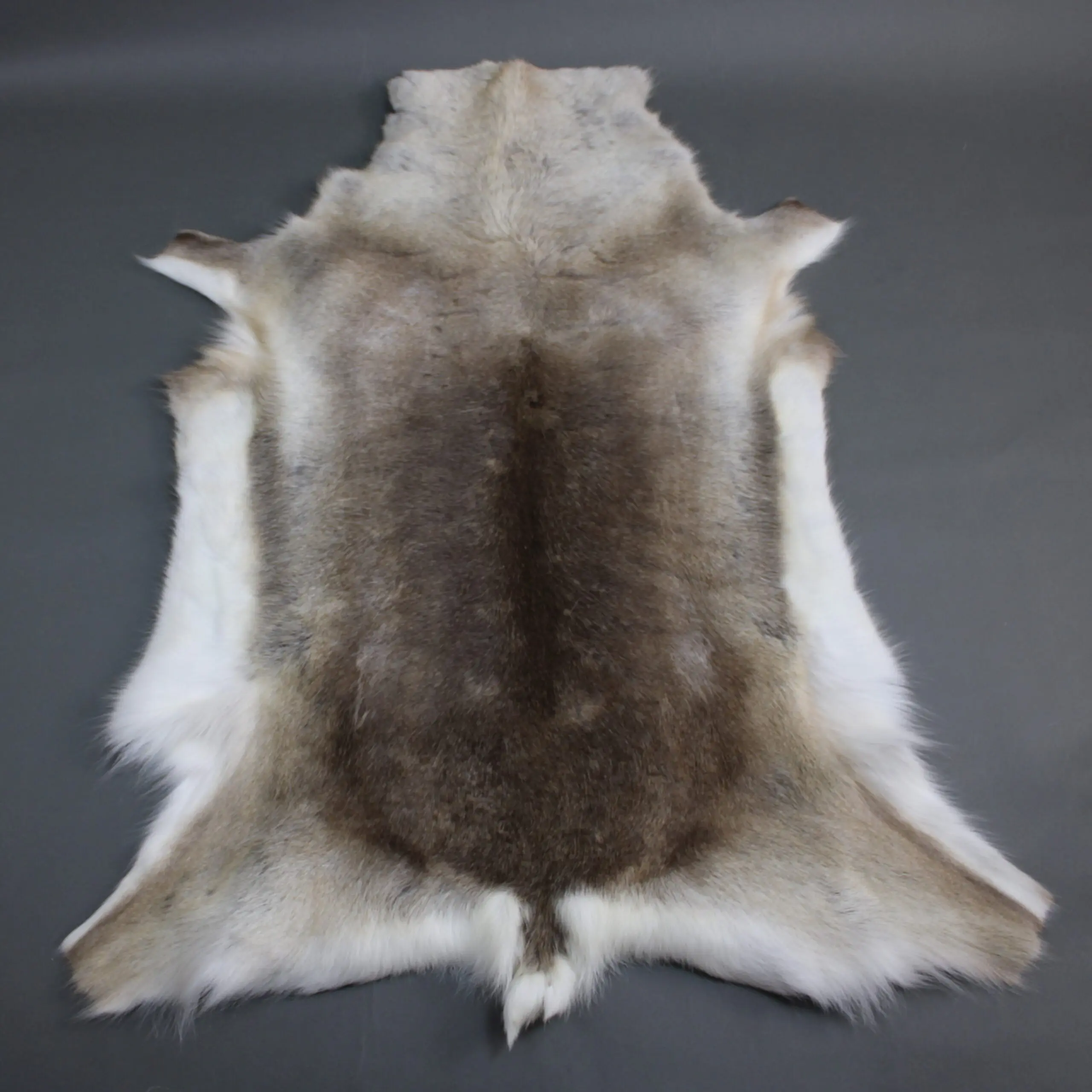 XX Large Reindeer Hide Rug R1260