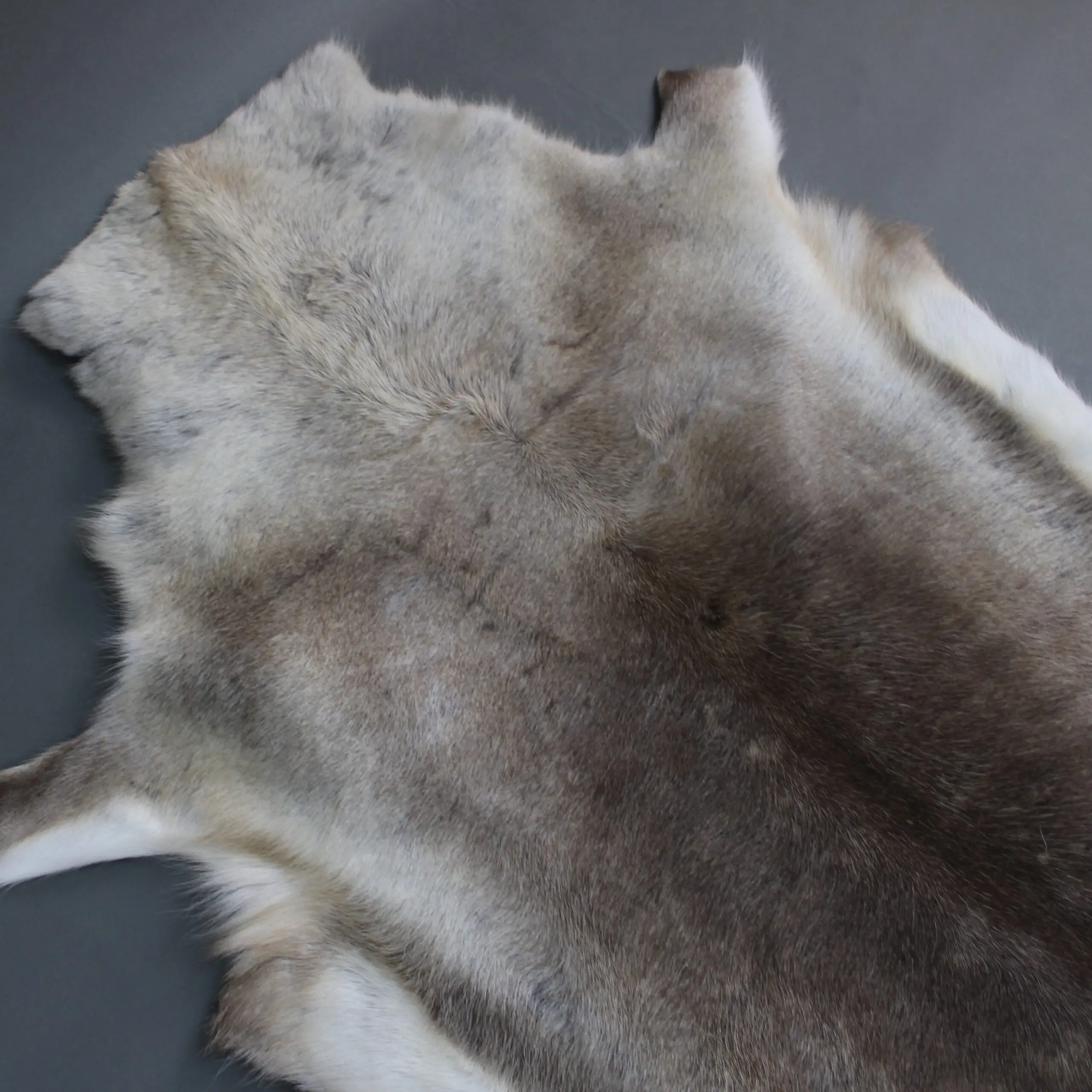 XX Large Reindeer Hide Rug R1260