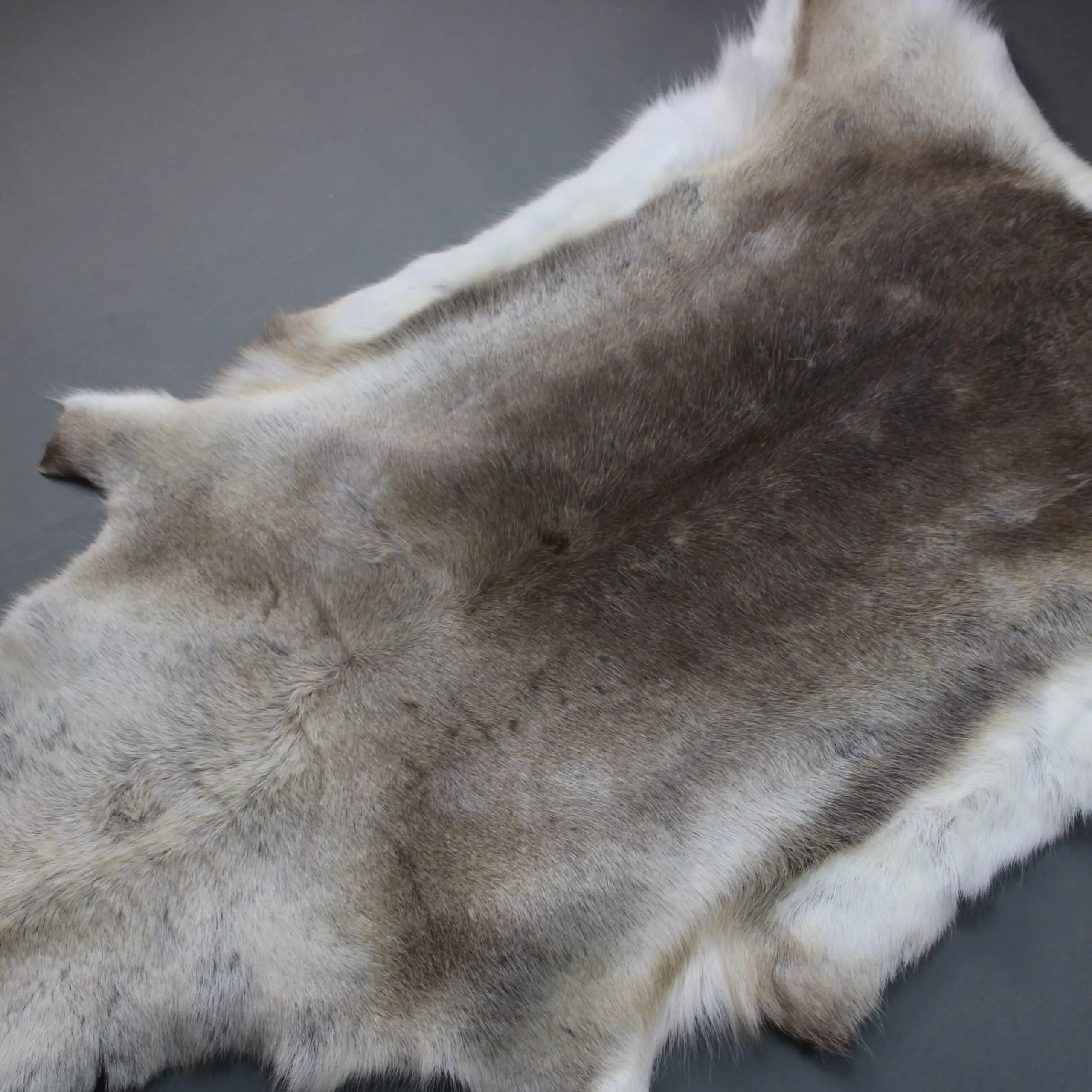 XX Large Reindeer Hide Rug R1260