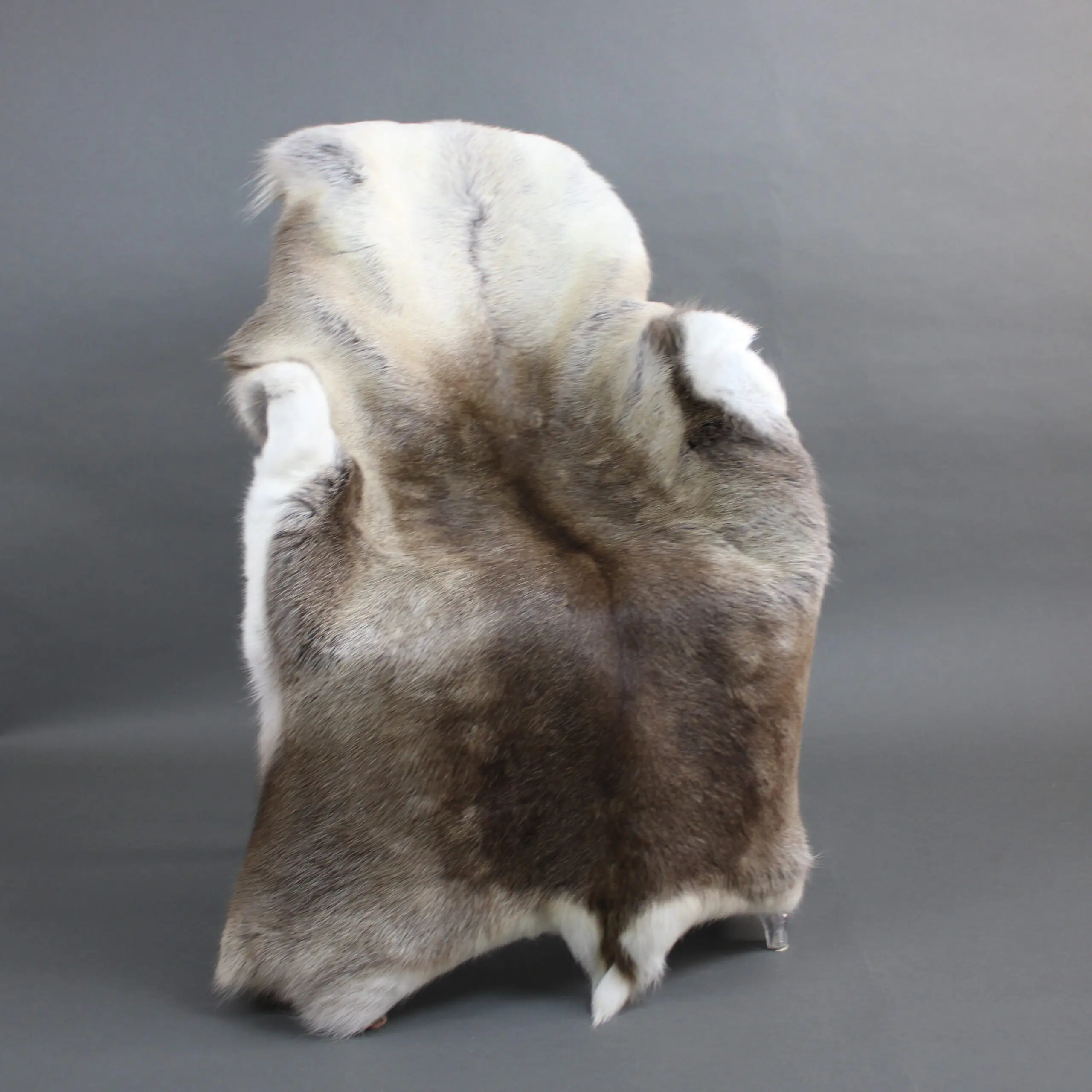 Reindeer Hide Rug R1261