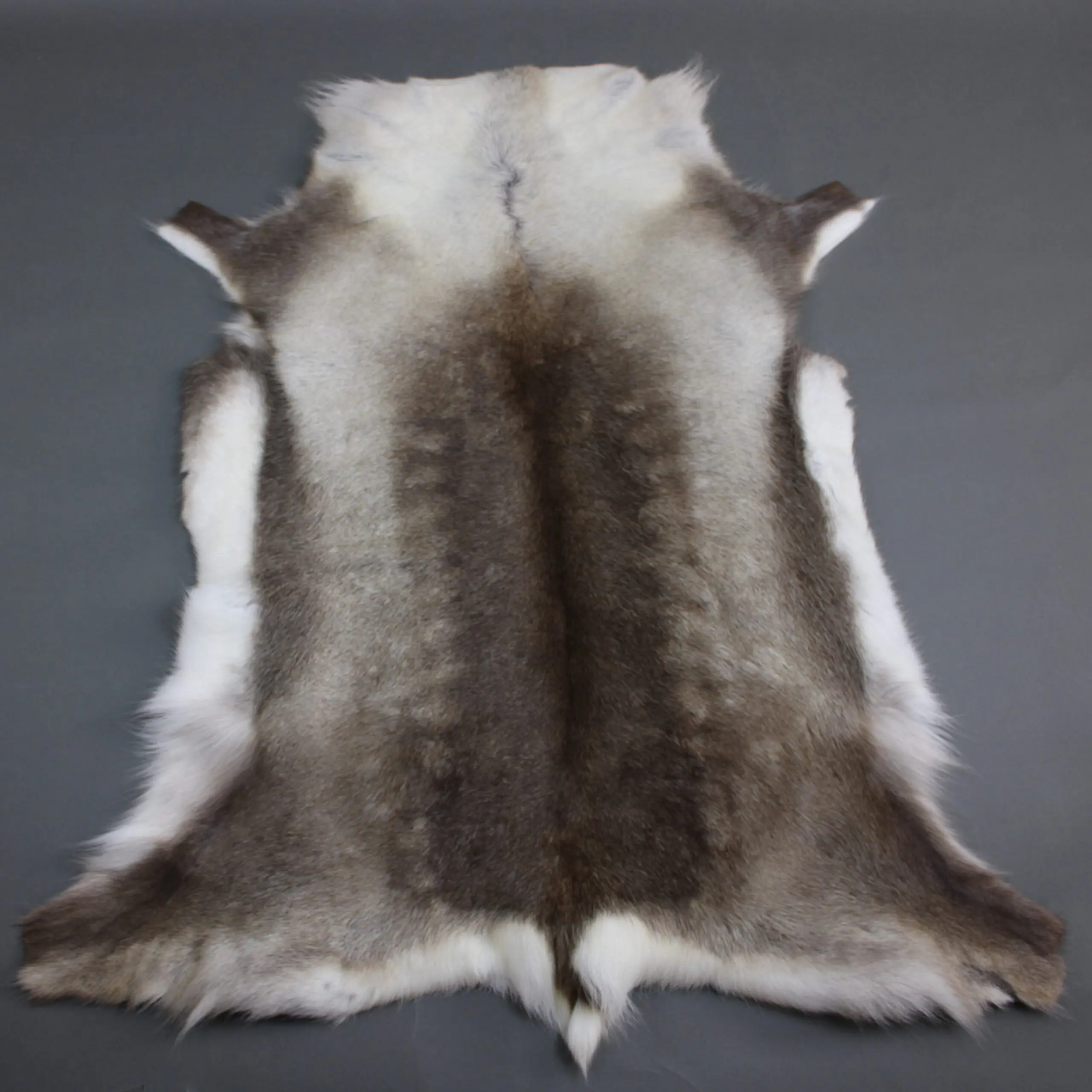 Reindeer Hide Rug R1261