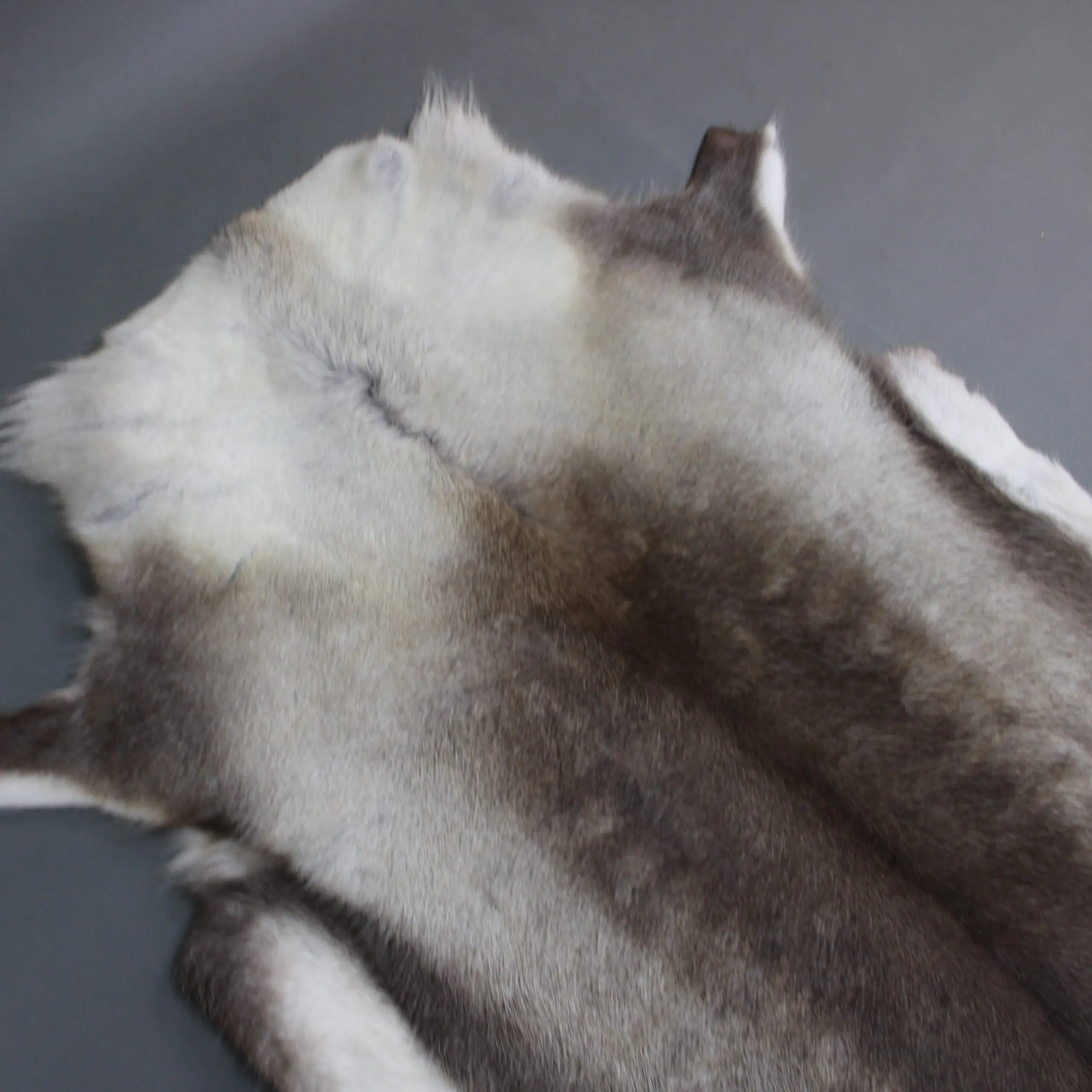 Reindeer Hide Rug R1261