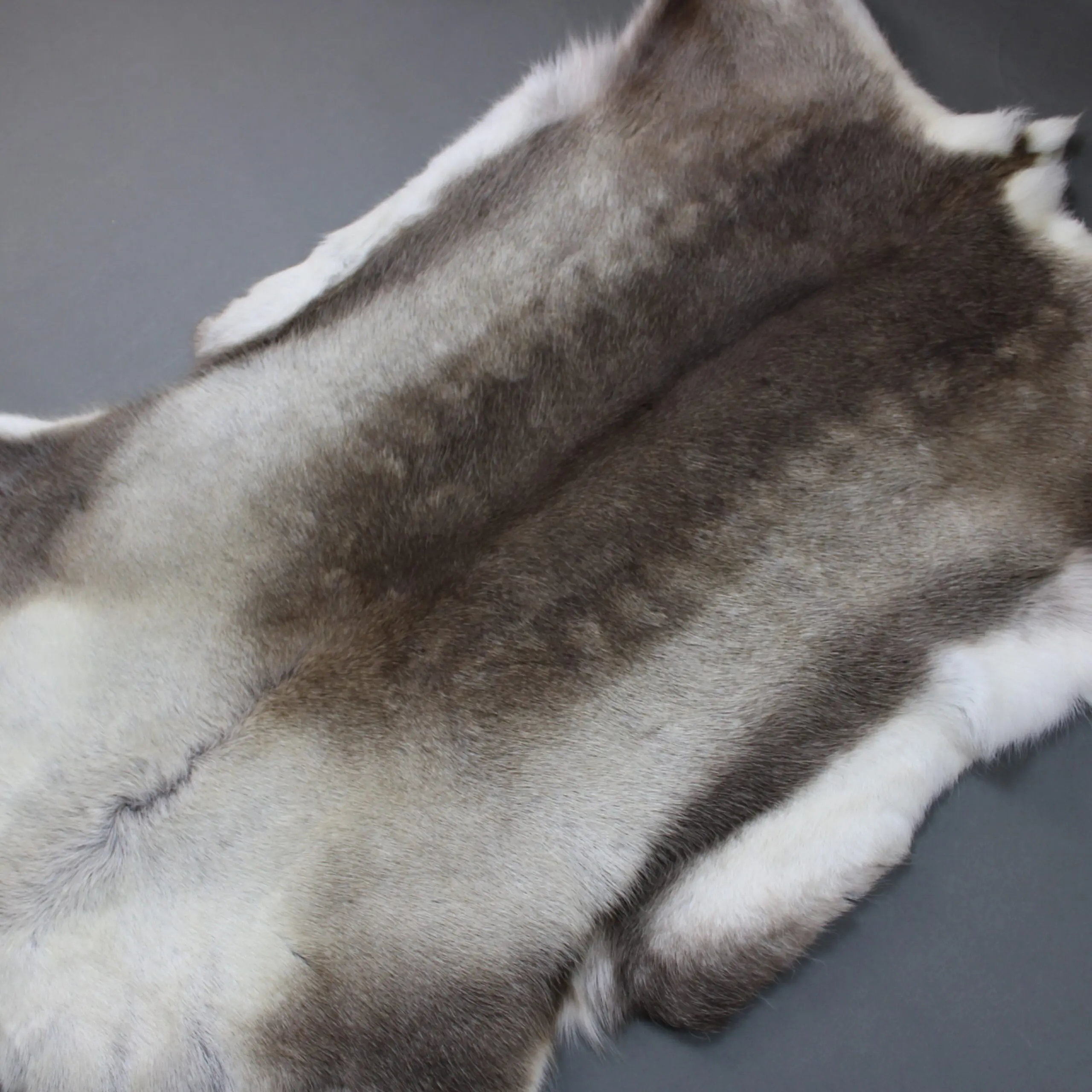 Reindeer Hide Rug R1261