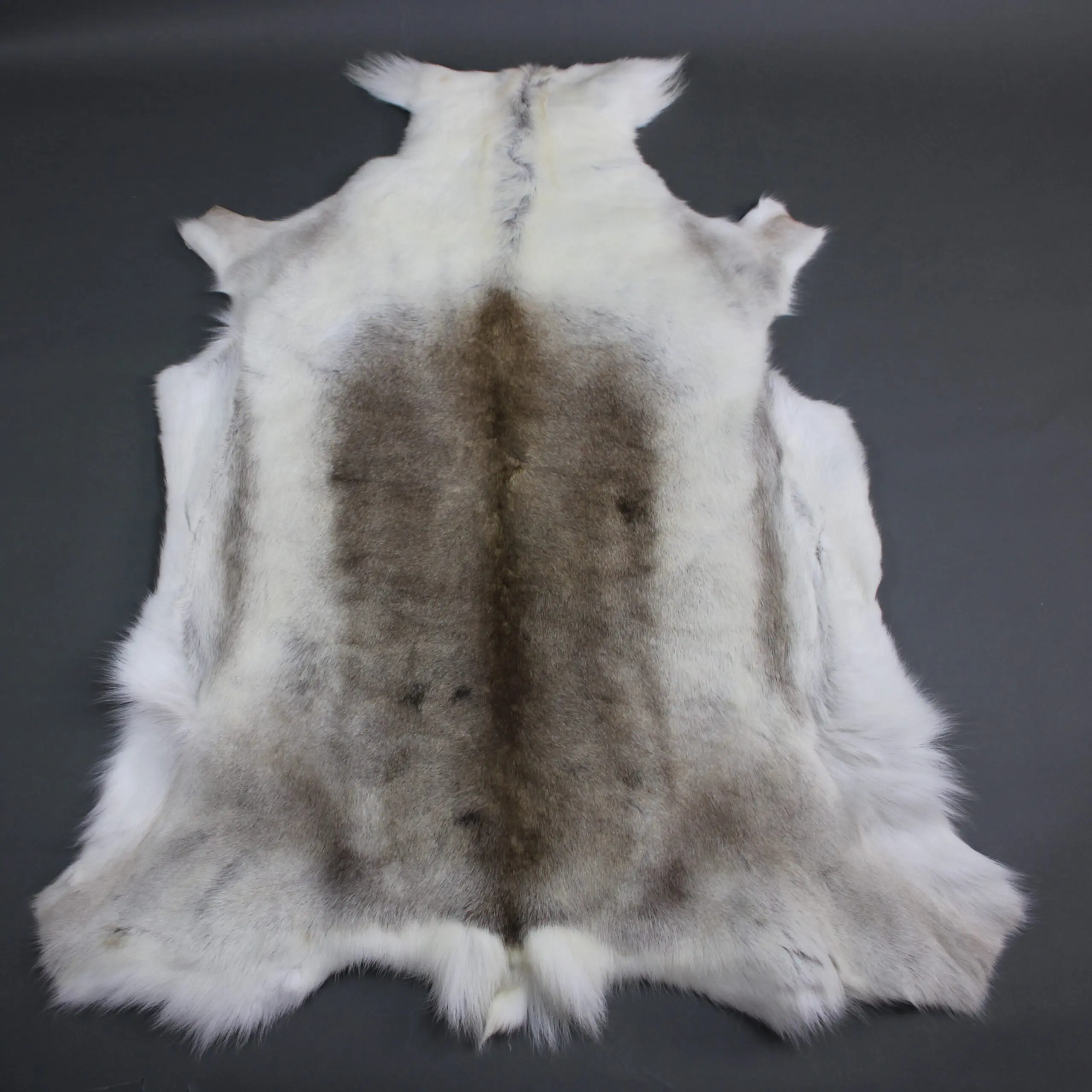 X Large Reindeer Hide Rug R1262