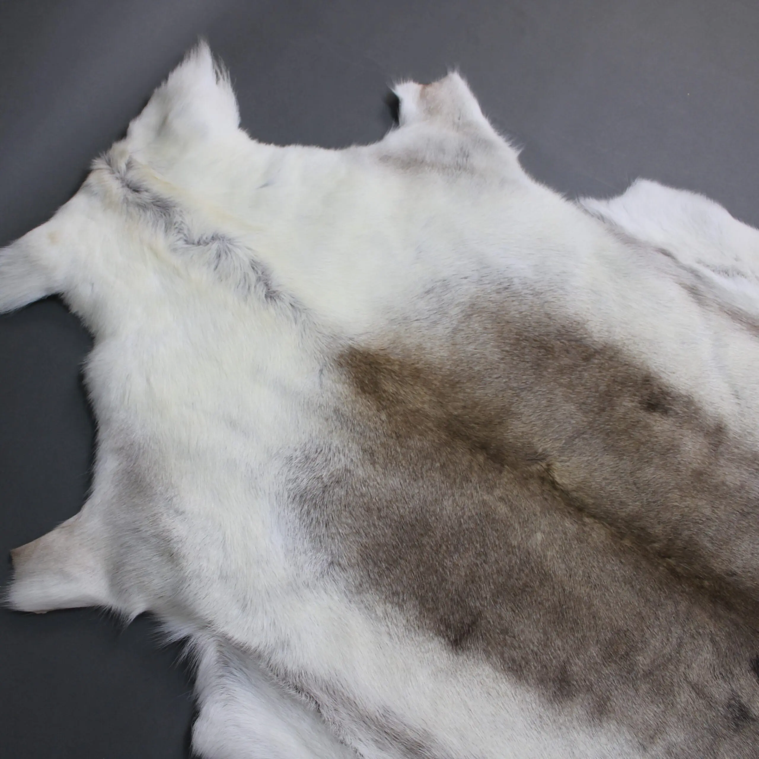 X Large Reindeer Hide Rug R1262