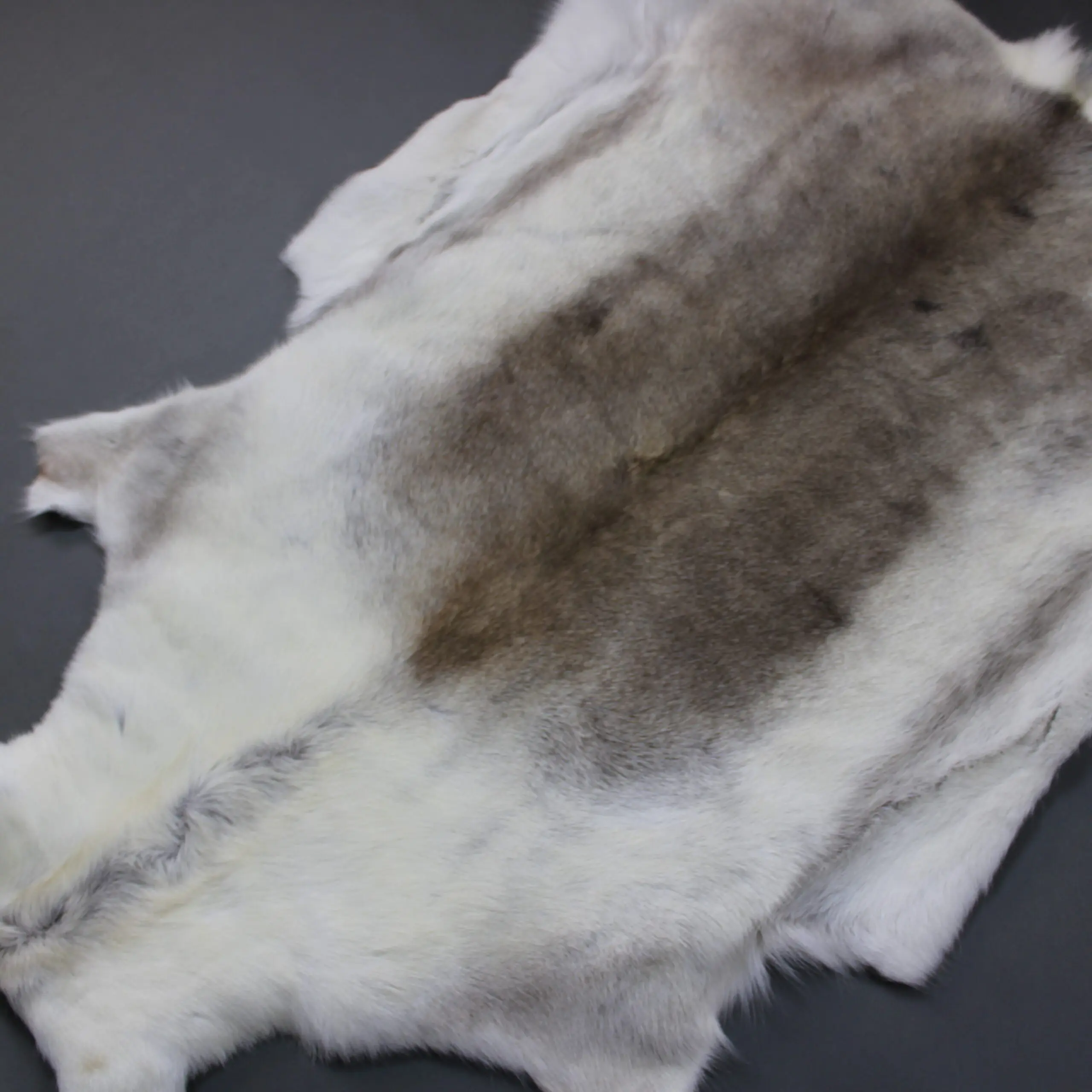 X Large Reindeer Hide Rug R1262
