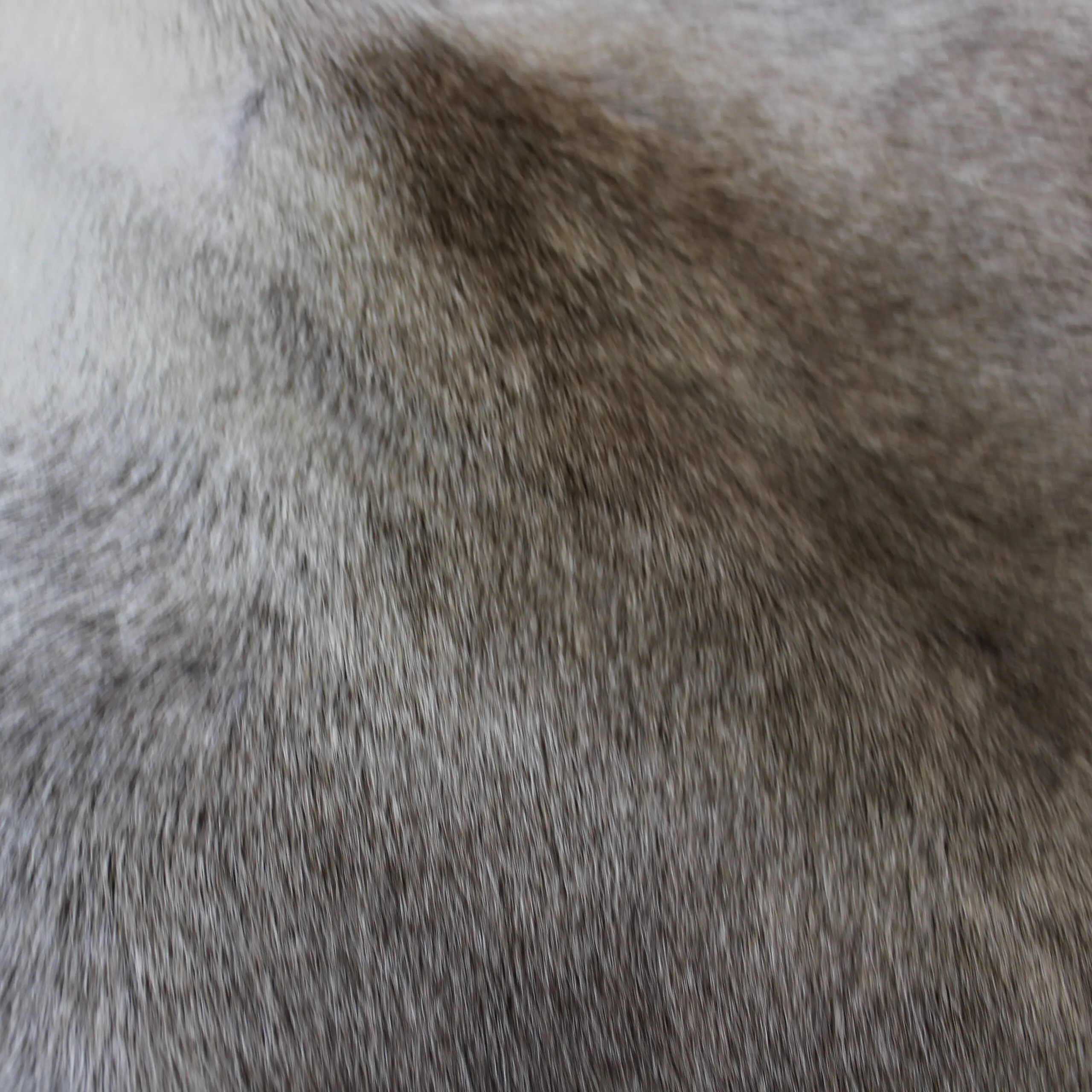 X Large Reindeer Hide Rug R1262