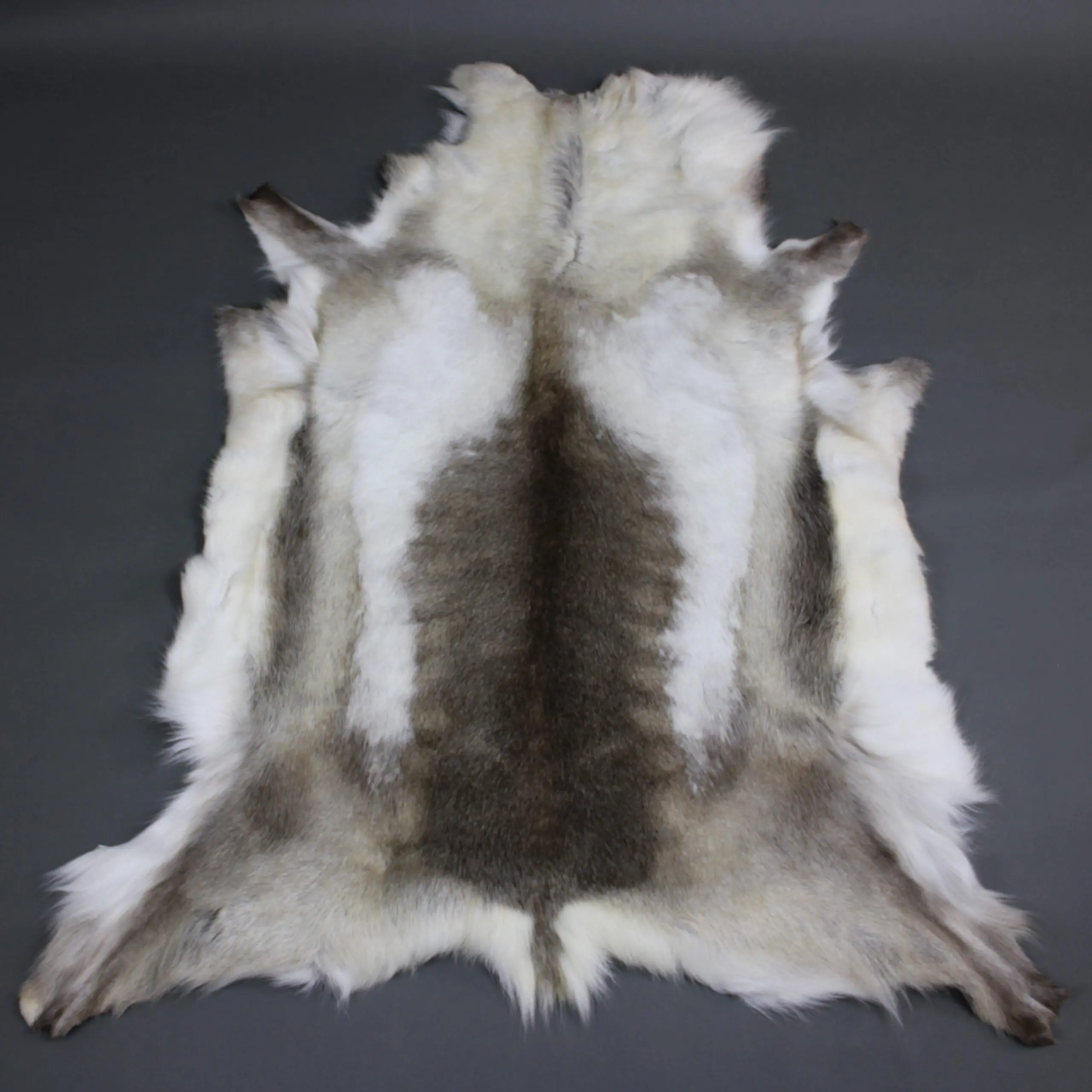 Reindeer Hide Rug R1264