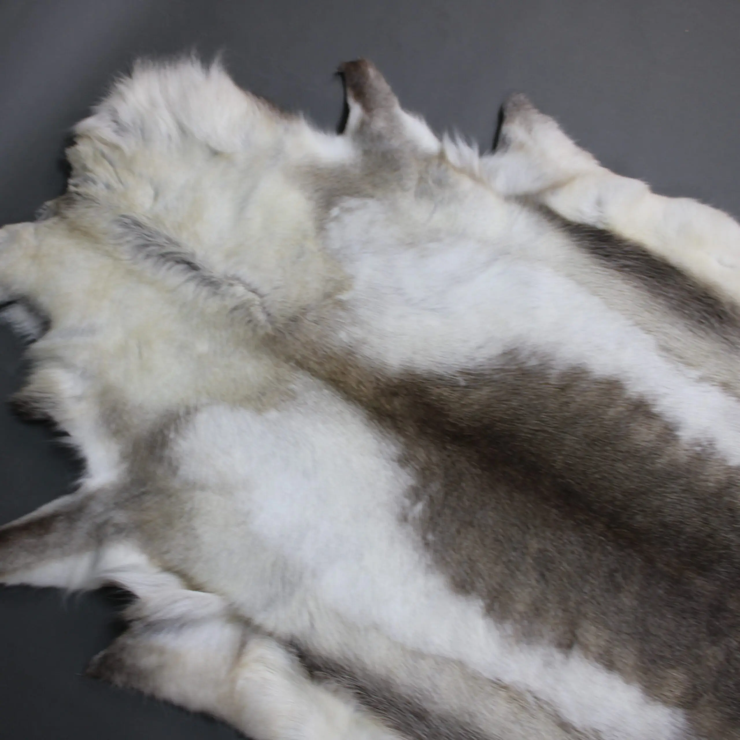 Reindeer Hide Rug R1264