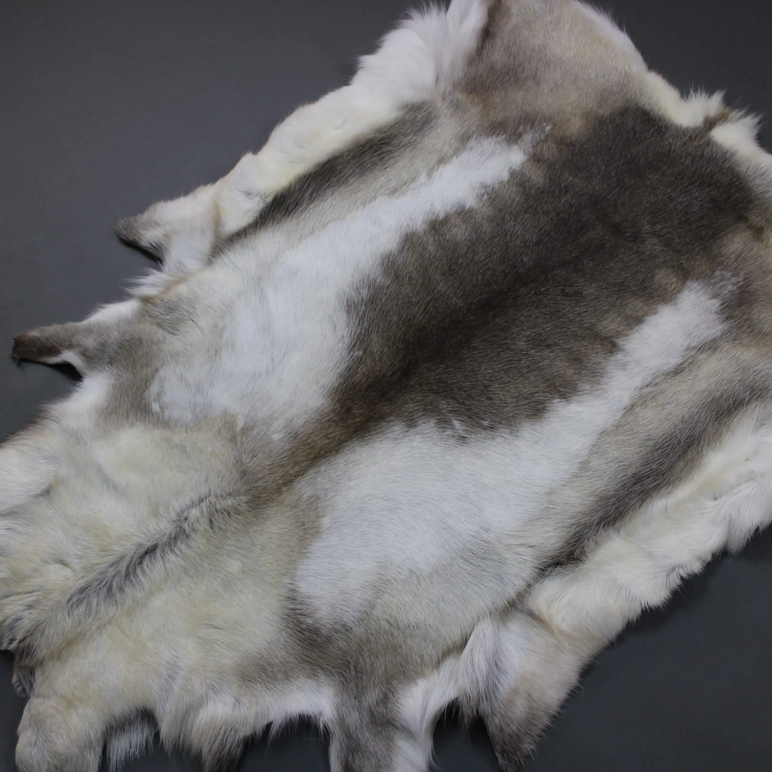 Reindeer Hide Rug R1264