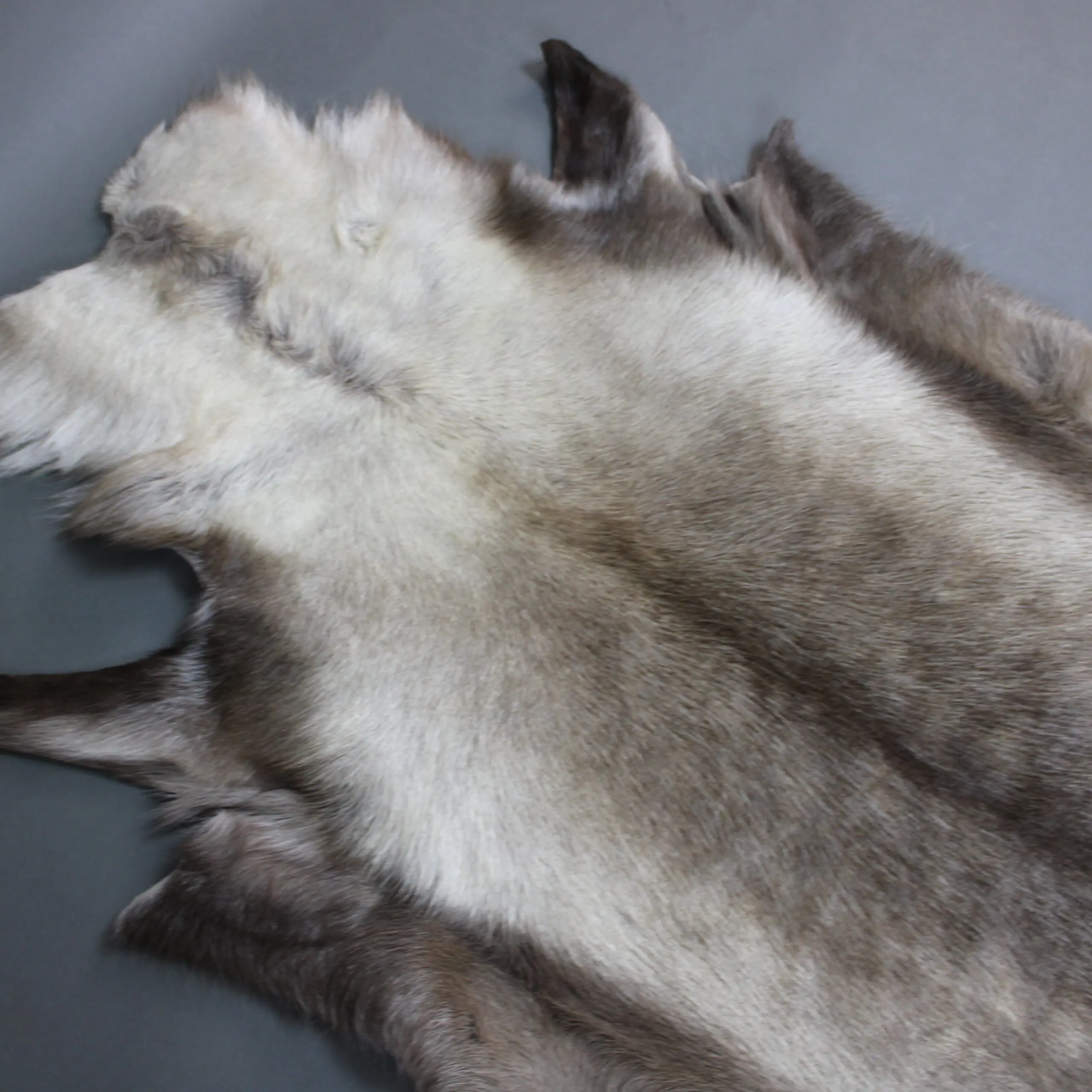 Large Reindeer Hide Rug R1265