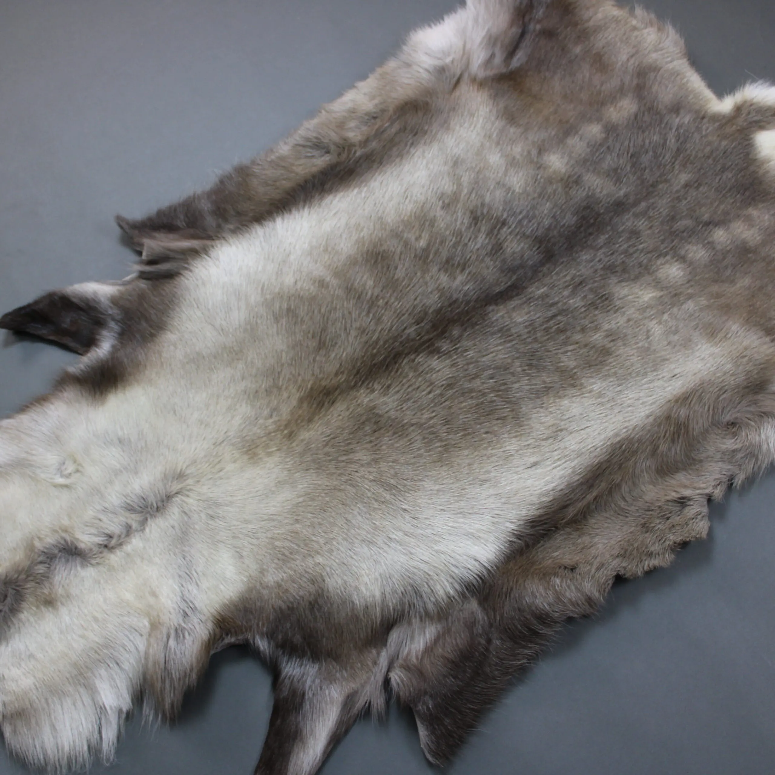 Large Reindeer Hide Rug R1265