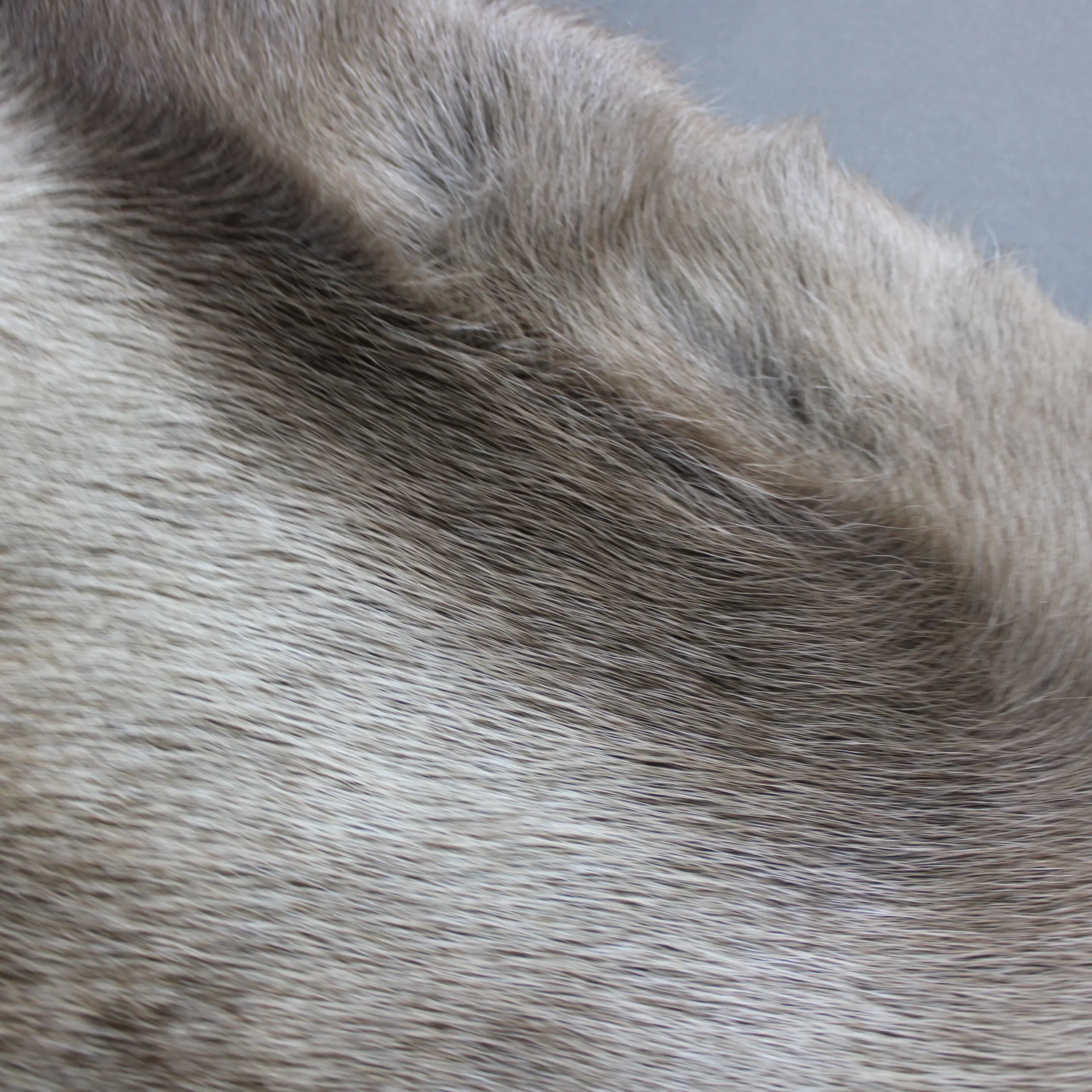 Large Reindeer Hide Rug R1265