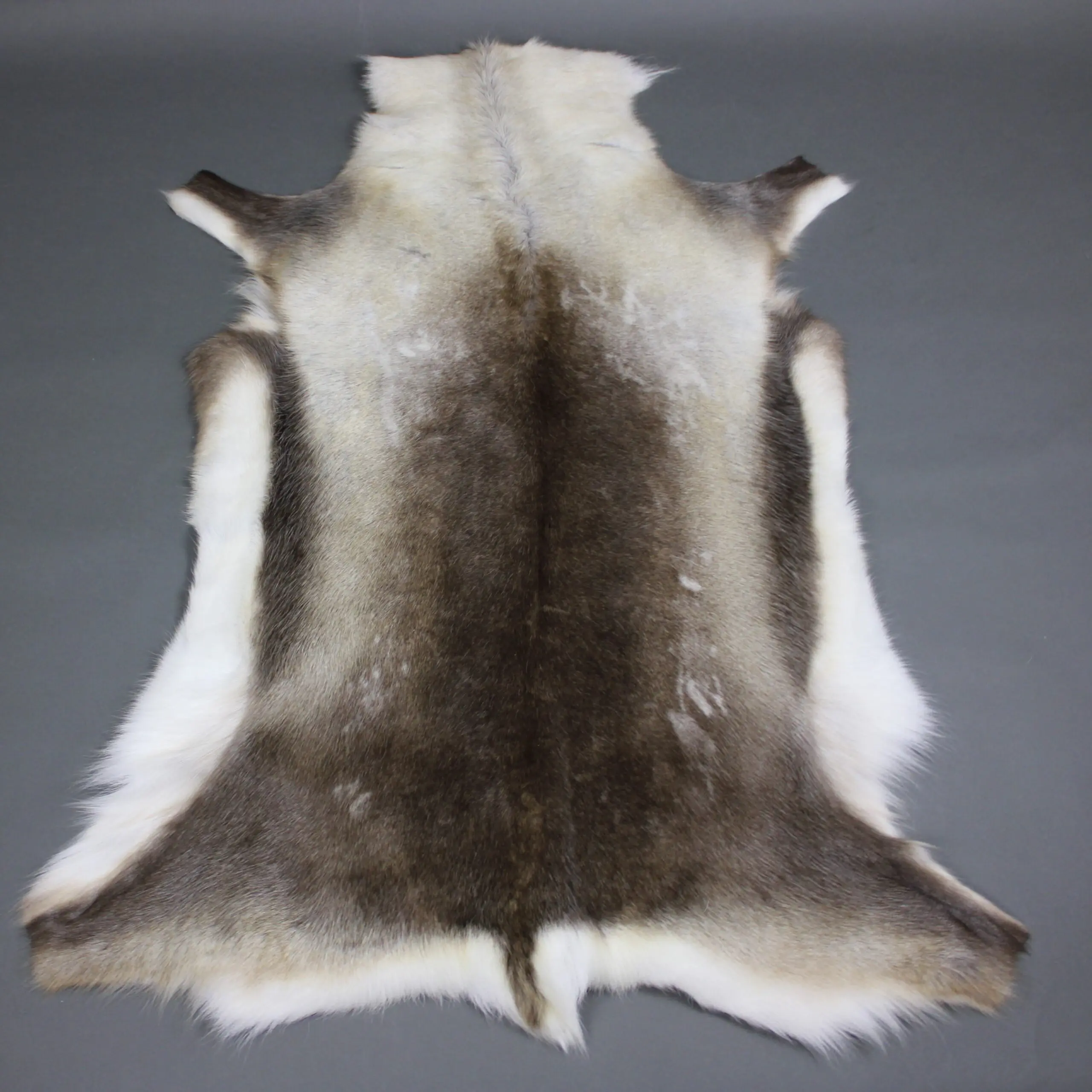 Reindeer Hide Rug R1267