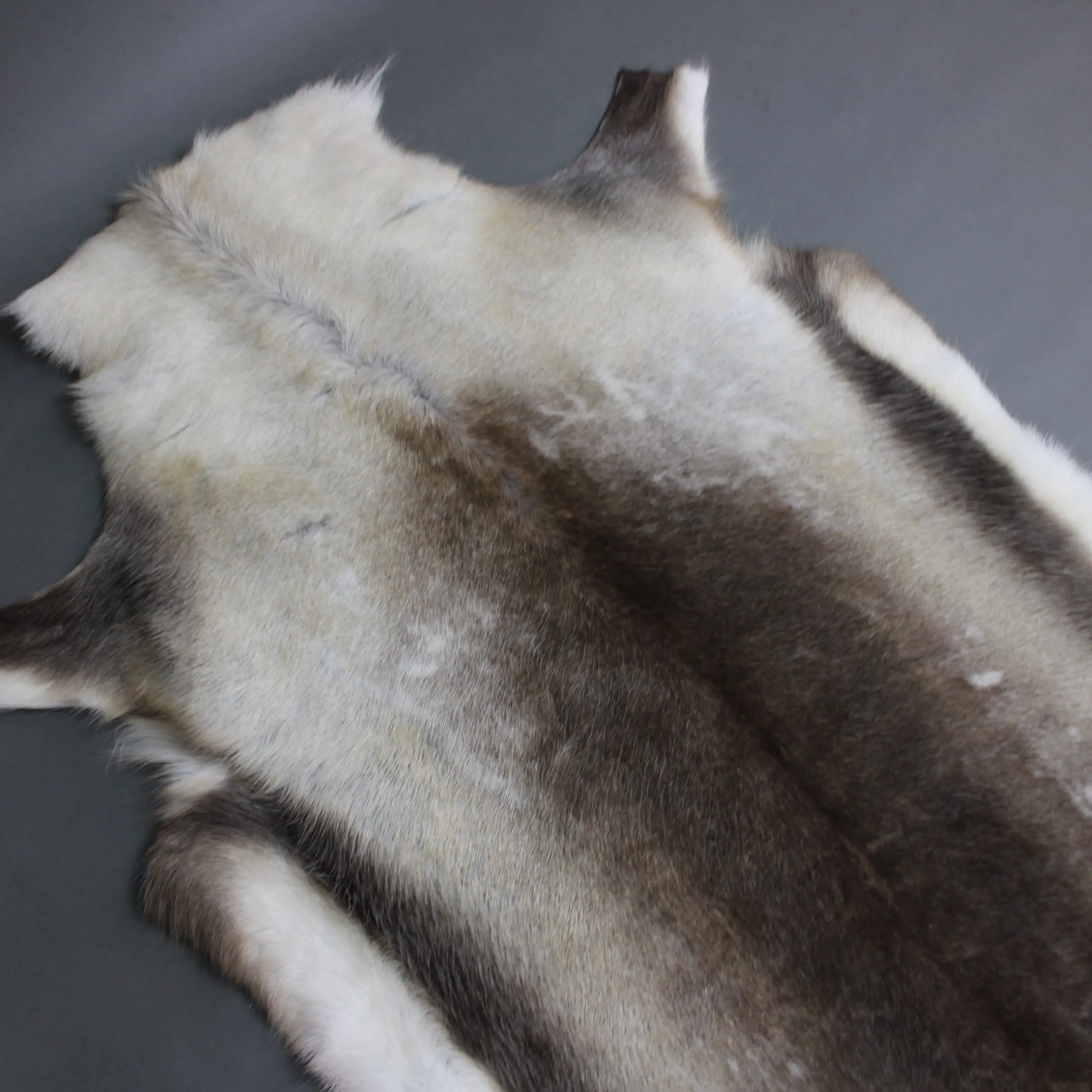 Reindeer Hide Rug R1267