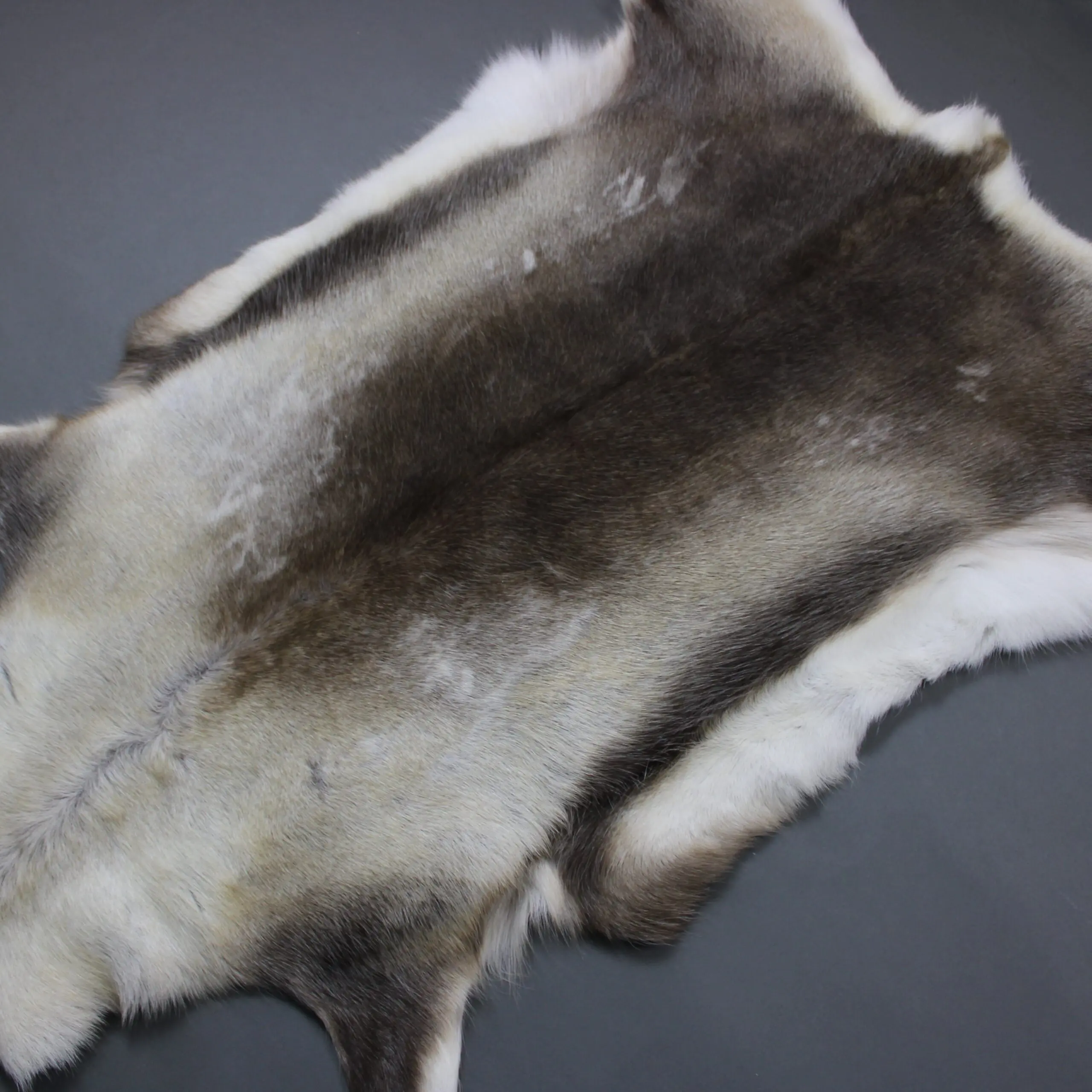 Reindeer Hide Rug R1267
