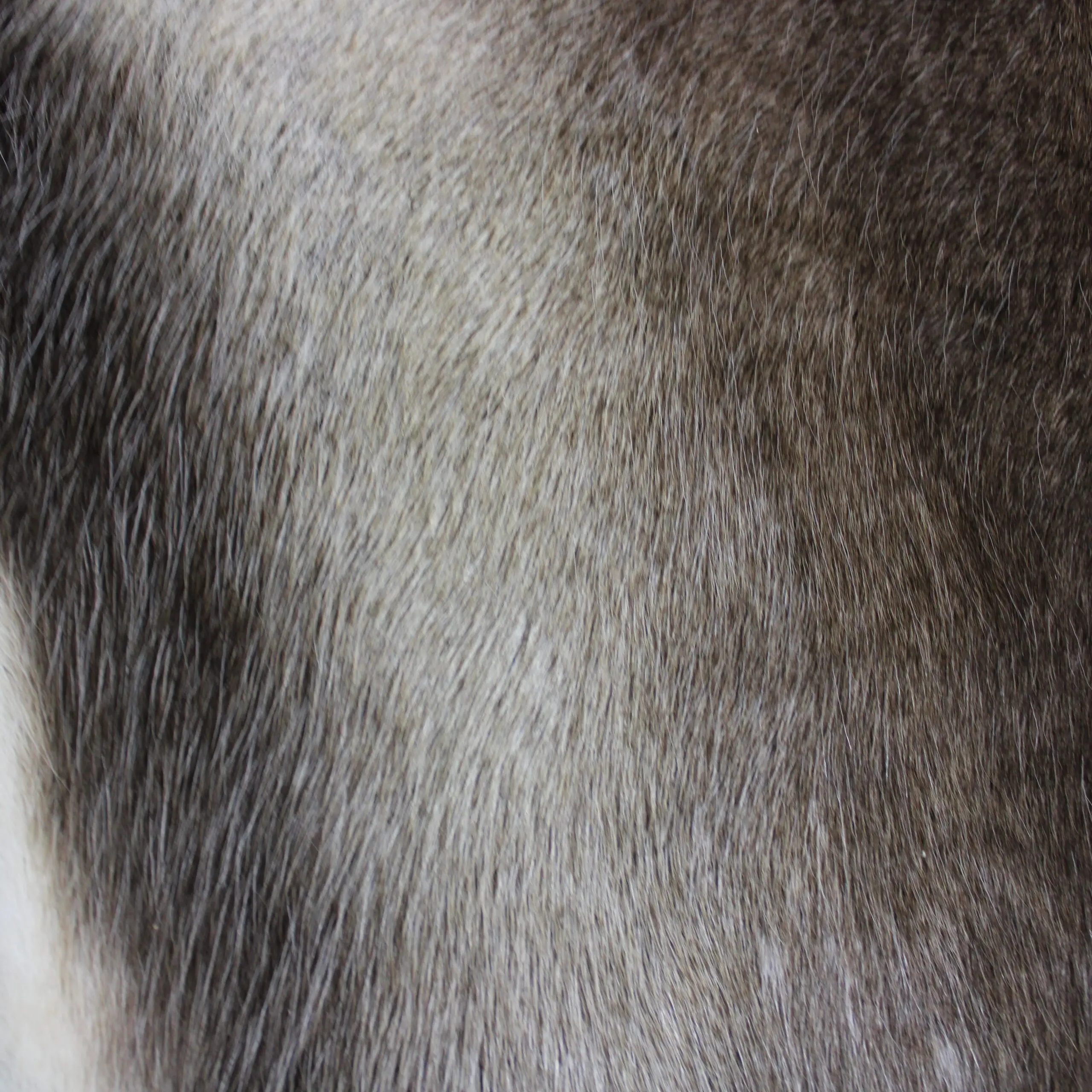 Reindeer Hide Rug R1267