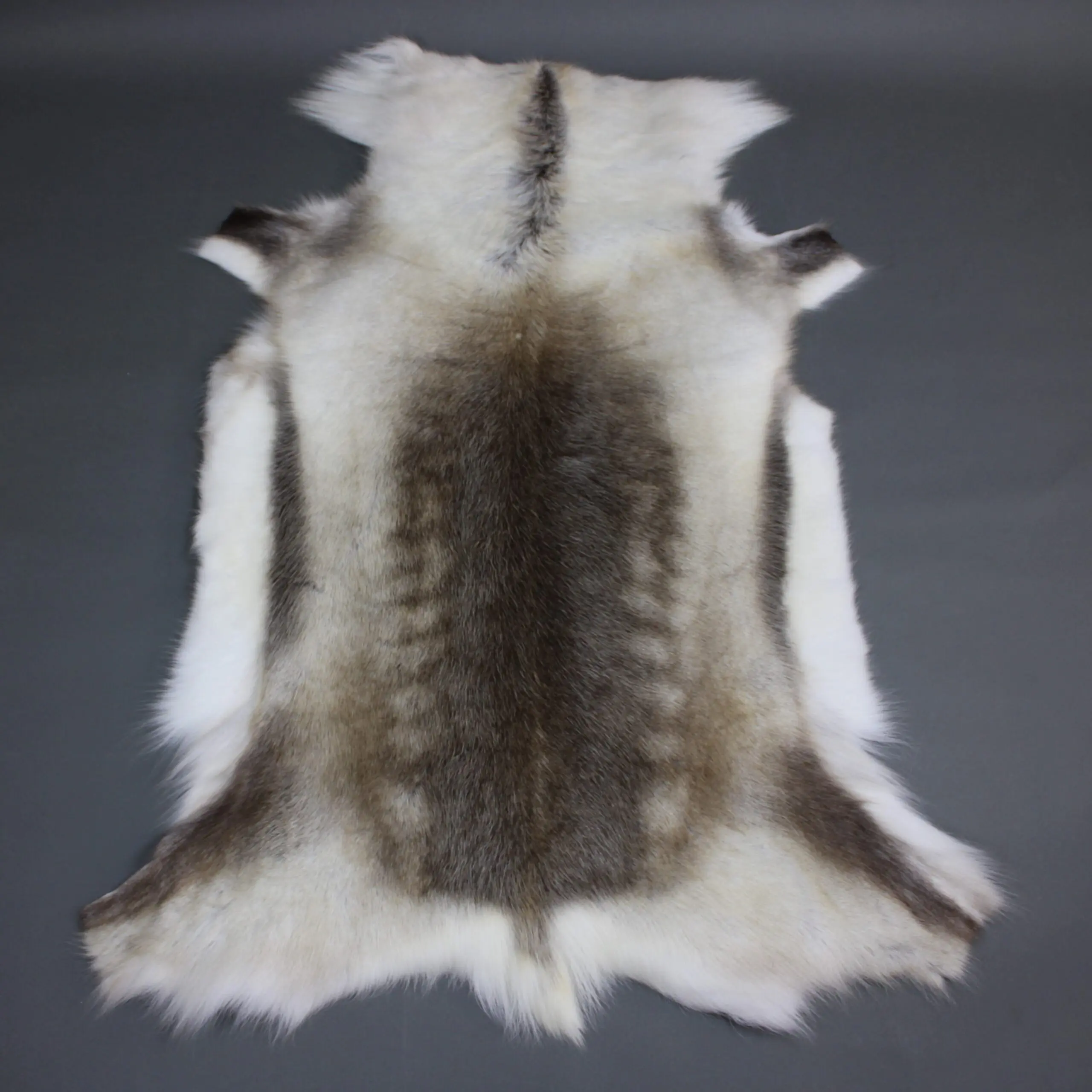 Reindeer Hide Rug R1268