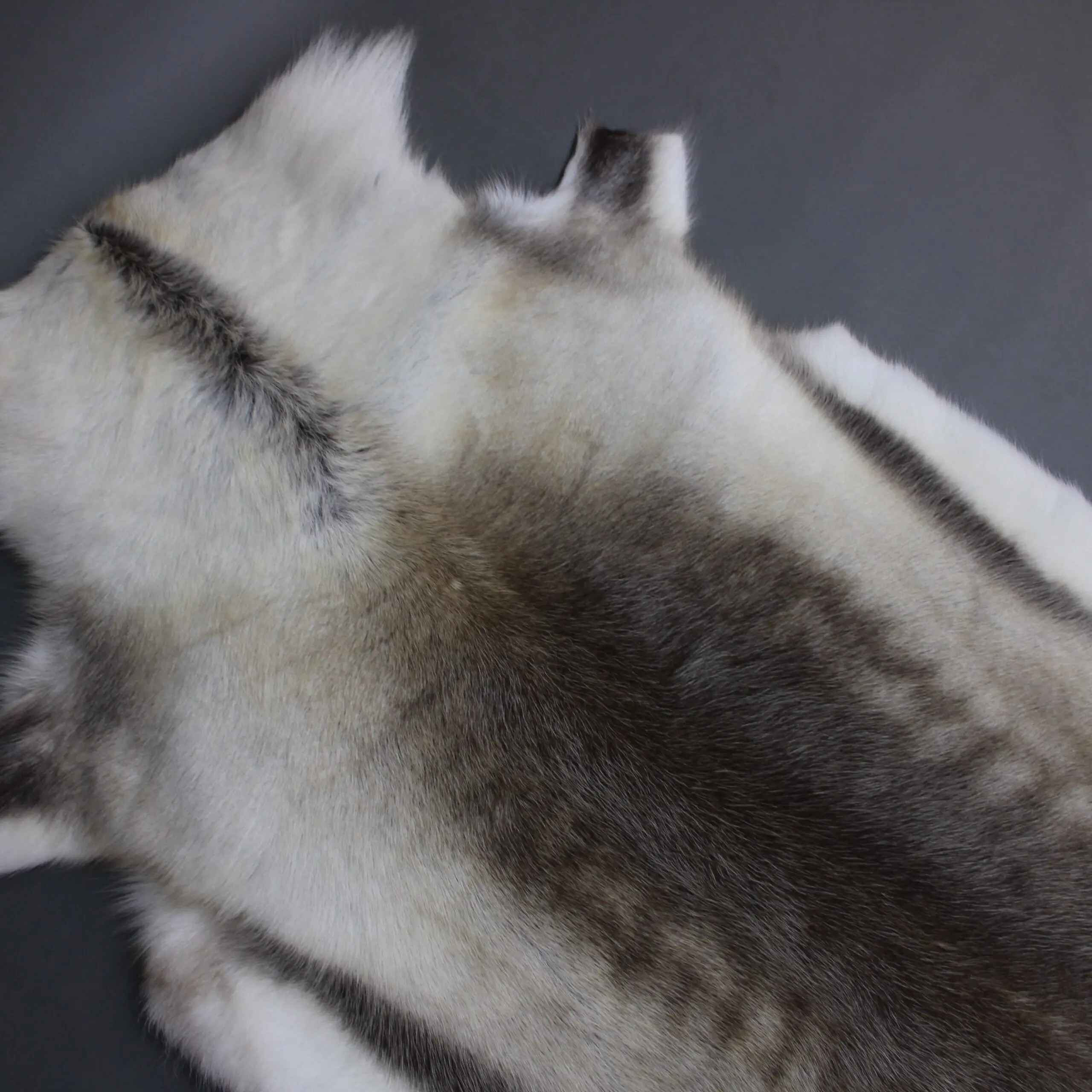 Reindeer Hide Rug R1268