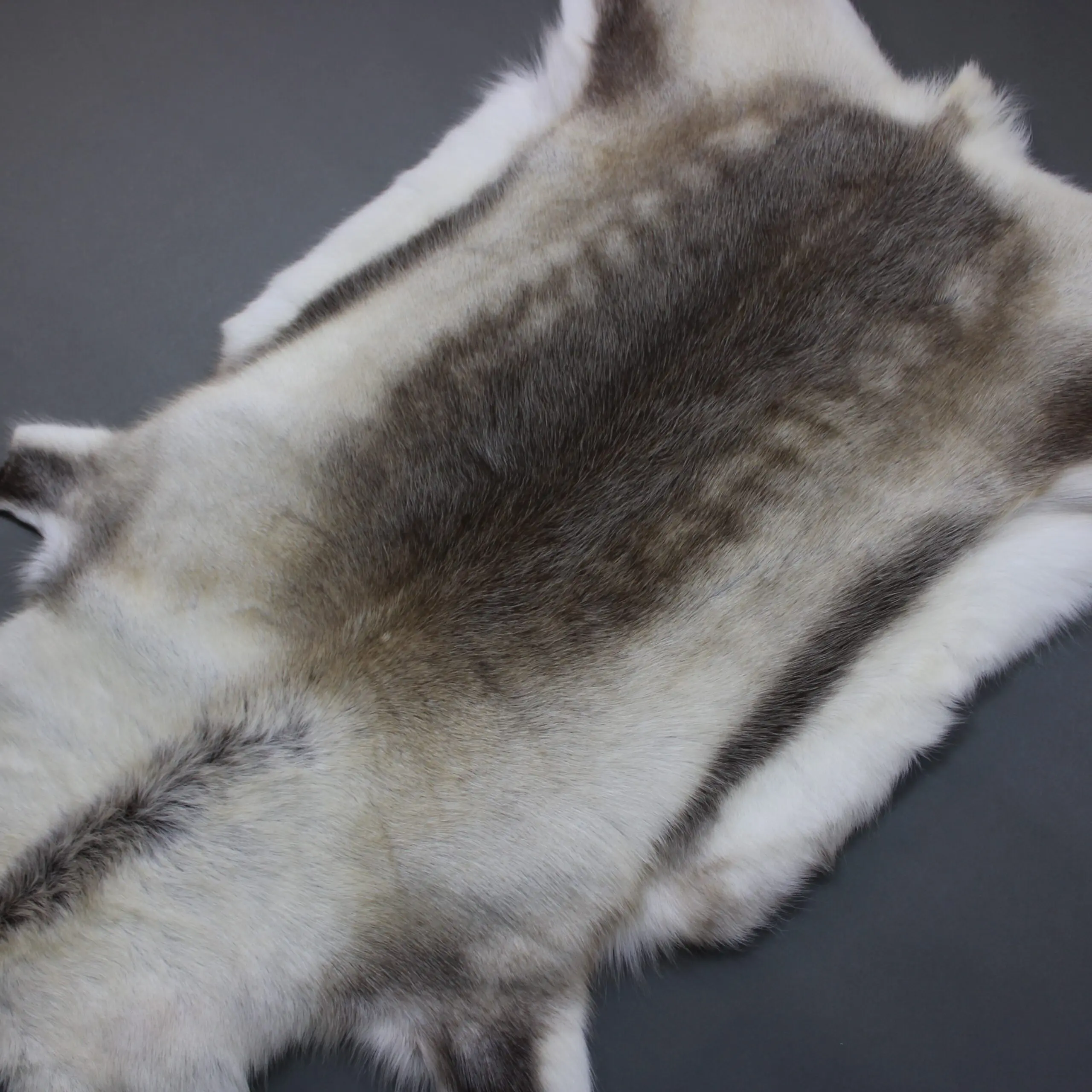 Reindeer Hide Rug R1268