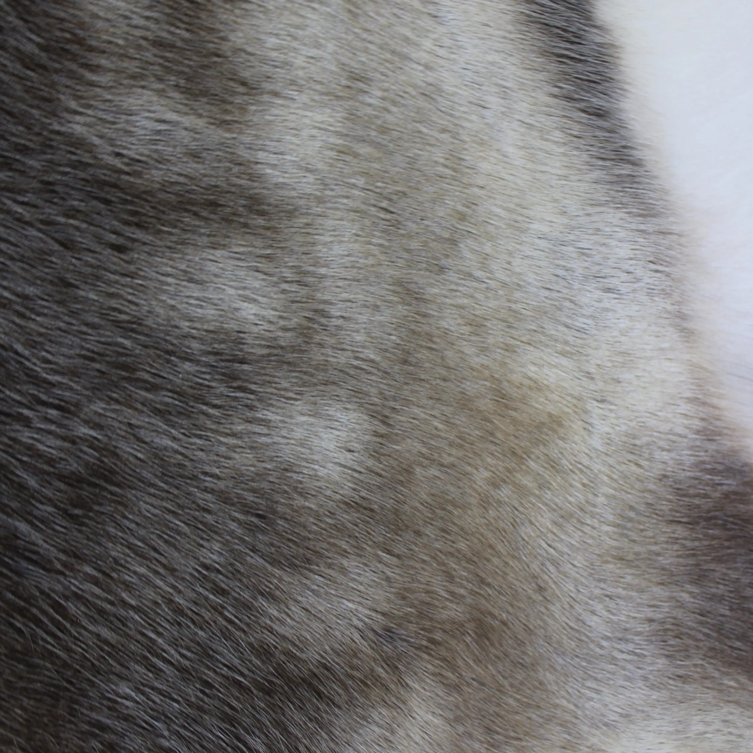 Reindeer Hide Rug R1268